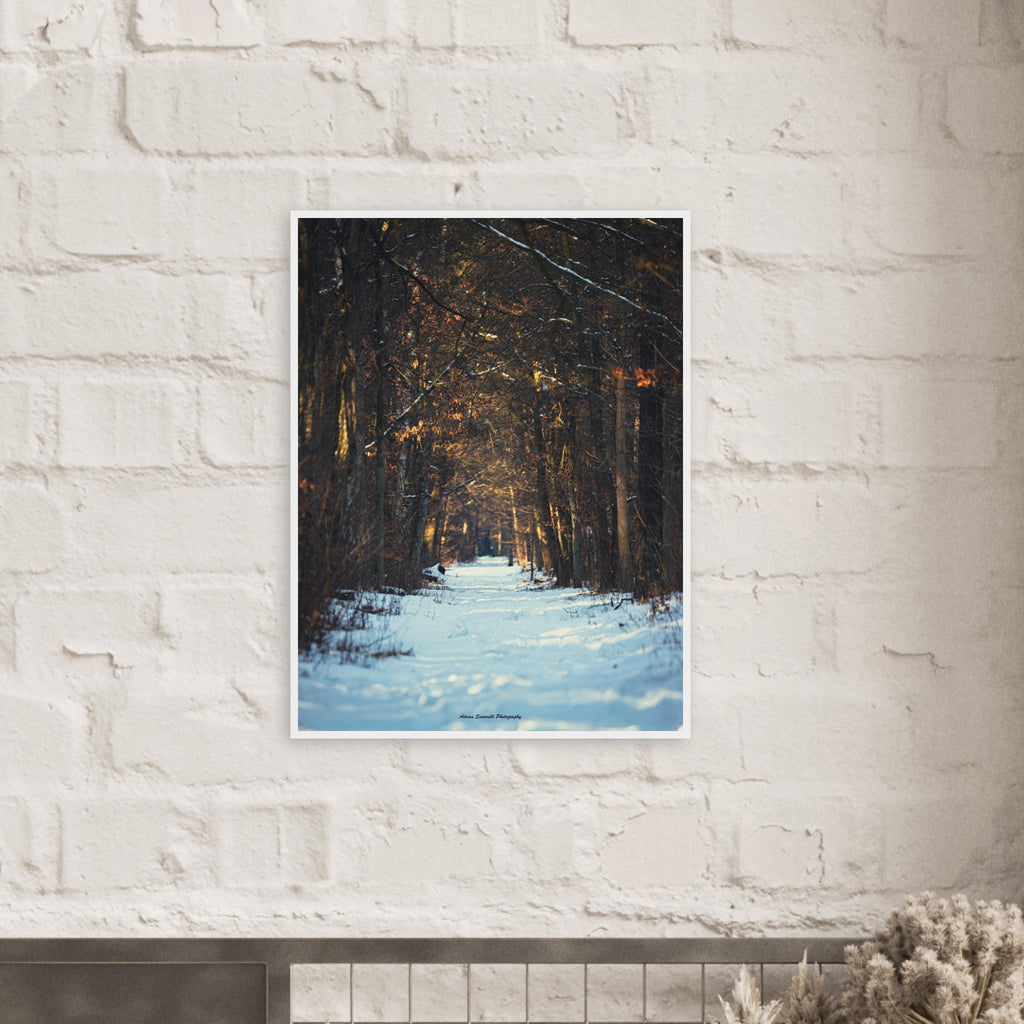 b689646b-16cd-4fc8-89a4-5938c7988f24