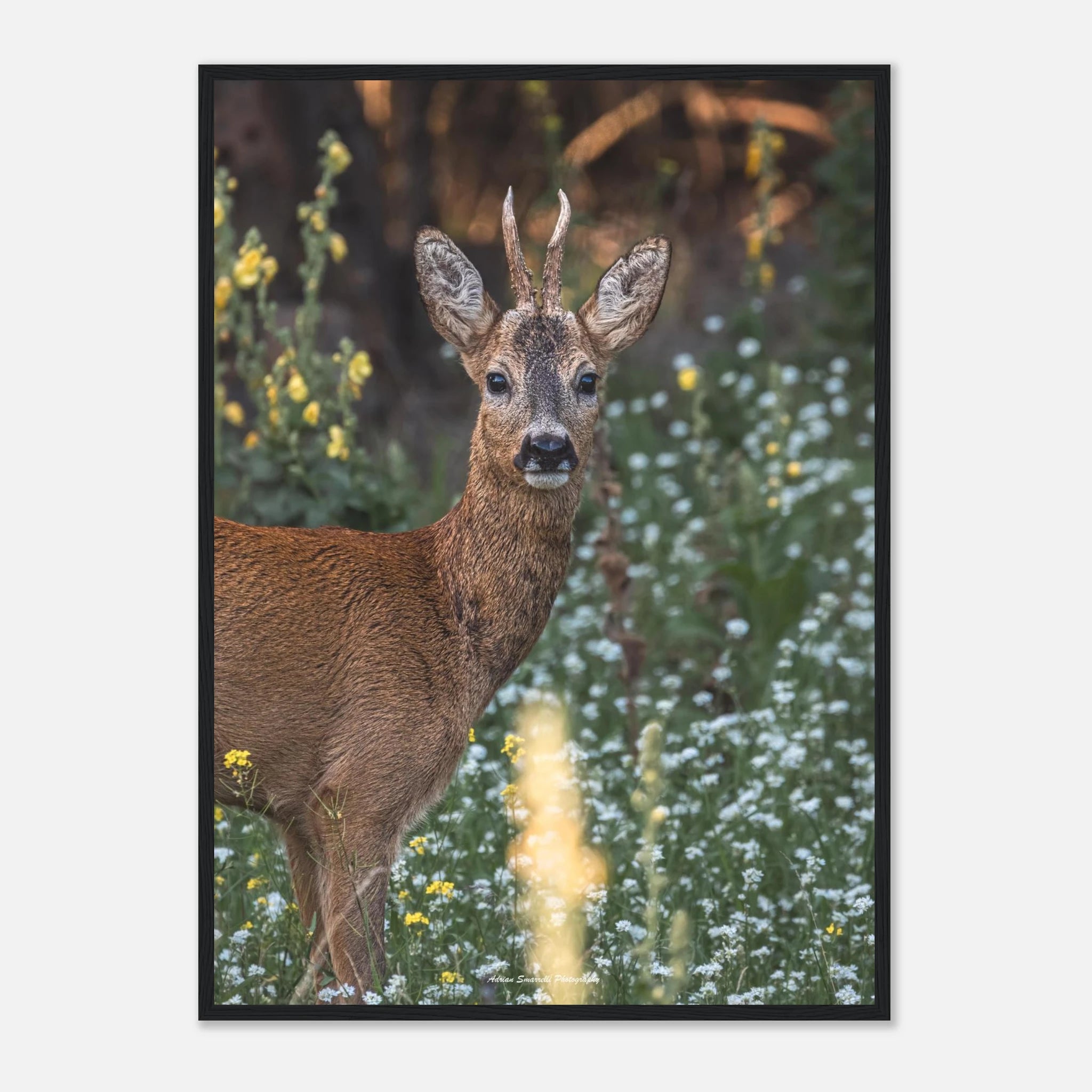 b6a4bb22-9fa8-49c4-8836-6f271dc619d0