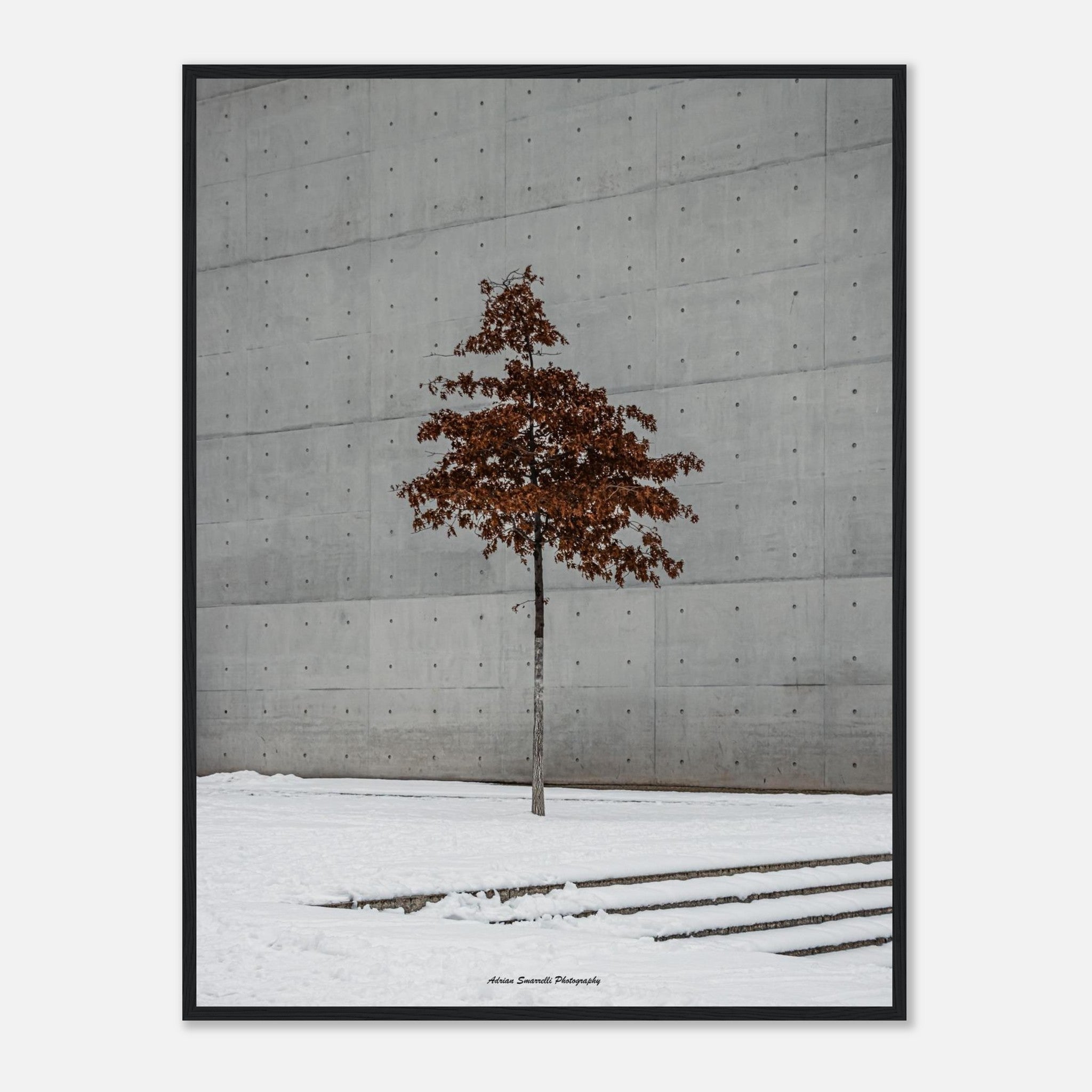 b6b0c748-4aa3-48d2-8dac-4893a6e82728