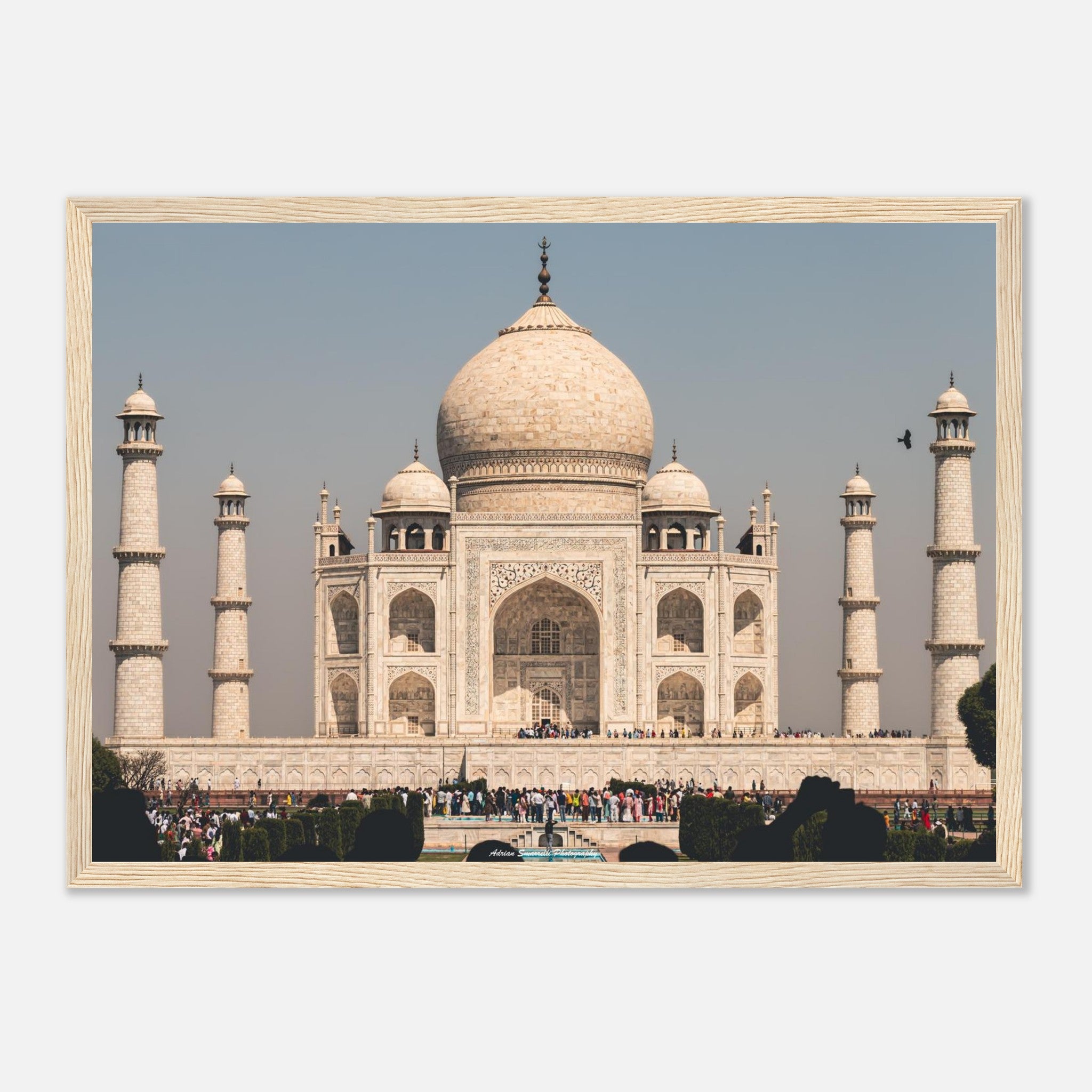 b72fc53c-8382-4282-b658-d4cc03a31761