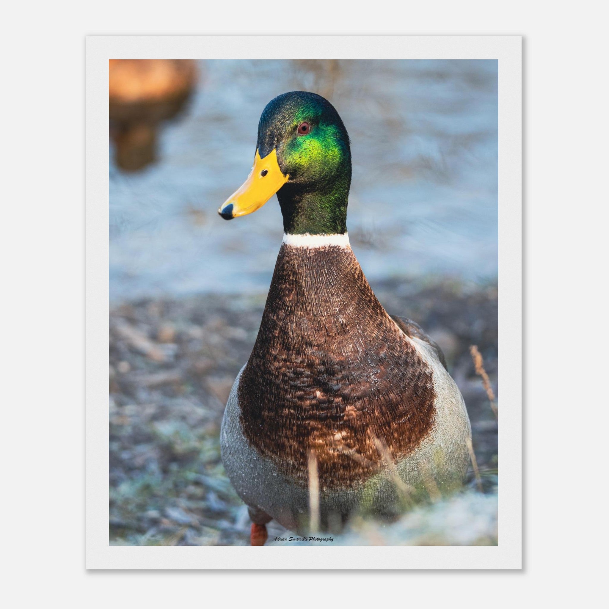 b8055bb3-a361-44ed-bb99-5b6375bbf3dc