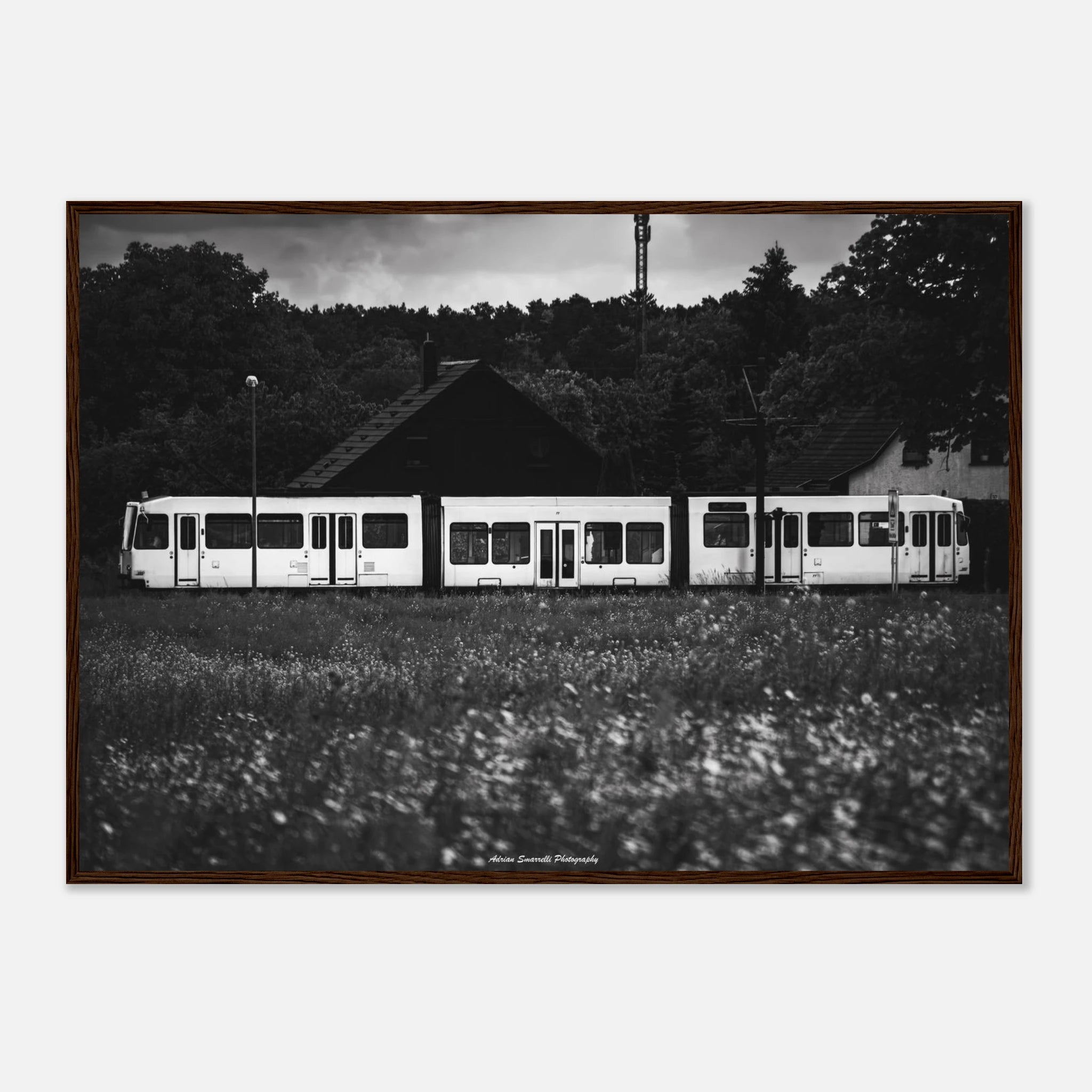 ba3a9179-065d-4d9b-b25d-e3e9aa2f9826