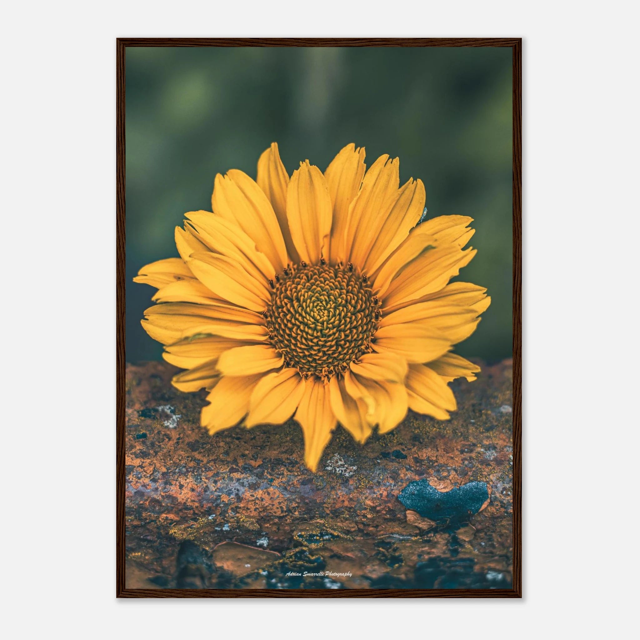 ba6284b1-9be0-4cfc-a86b-b00f1e5ec385