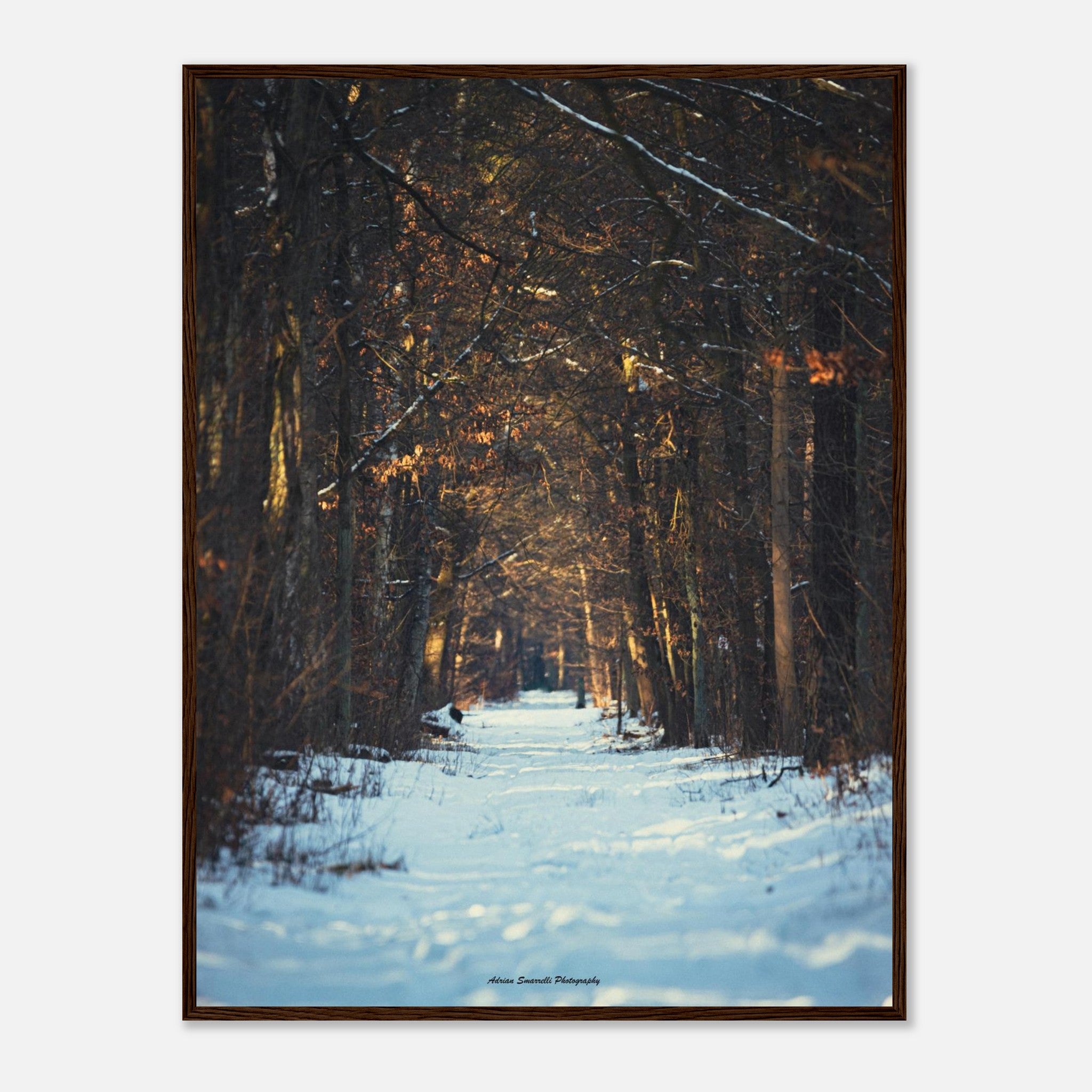 bb22cc77-2bc1-497a-8da1-0f8e3072e808