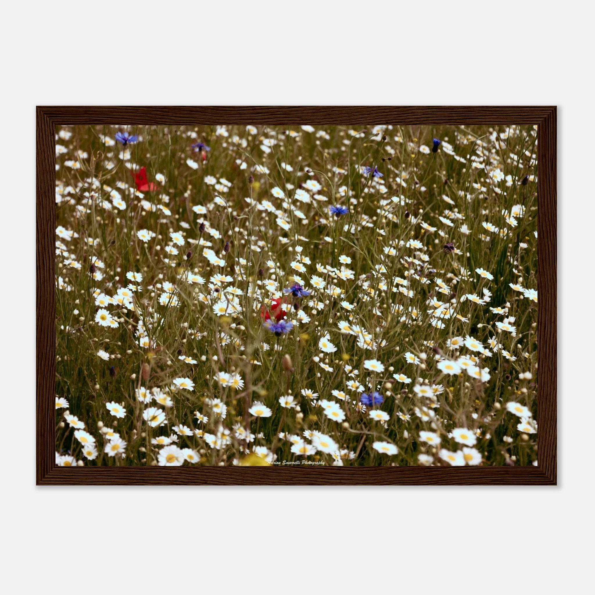 bb7a589c-0840-47ab-b675-96e680fb28d9