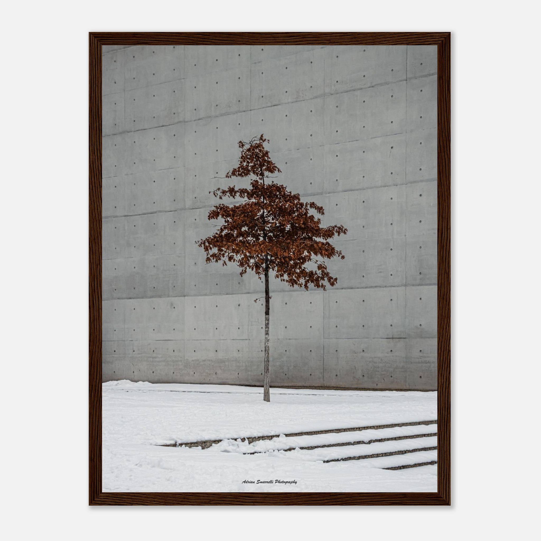 bbd04676-f3f1-4a17-b96b-32e3bea2e9d7