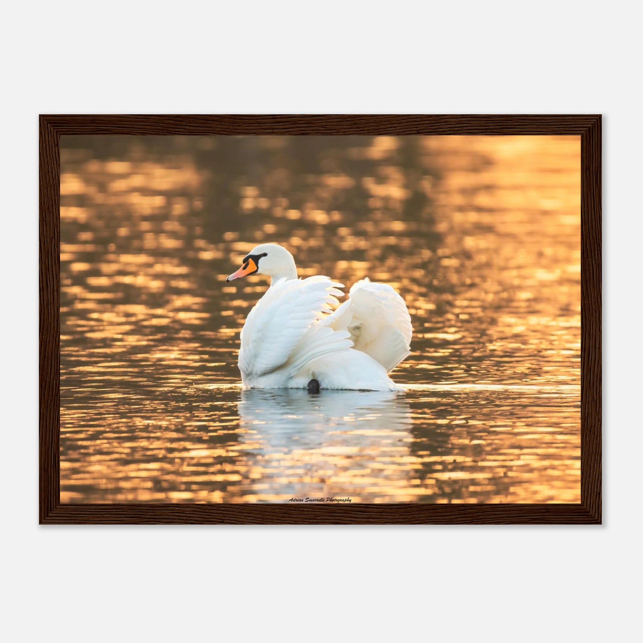 bc4900d9-acf8-4117-863b-47a47e1d1520