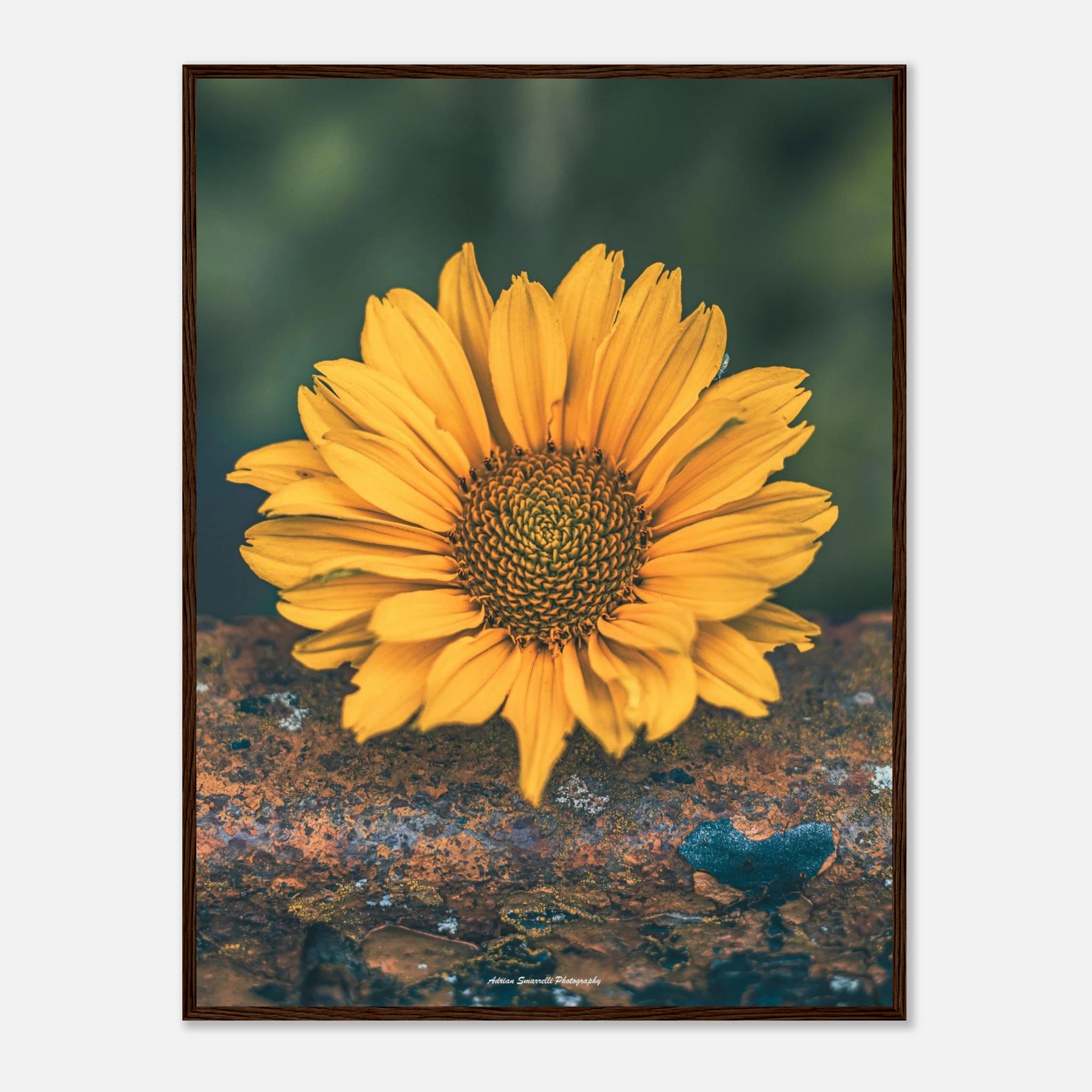 bc8b2868-e802-4999-a487-34a22f247944