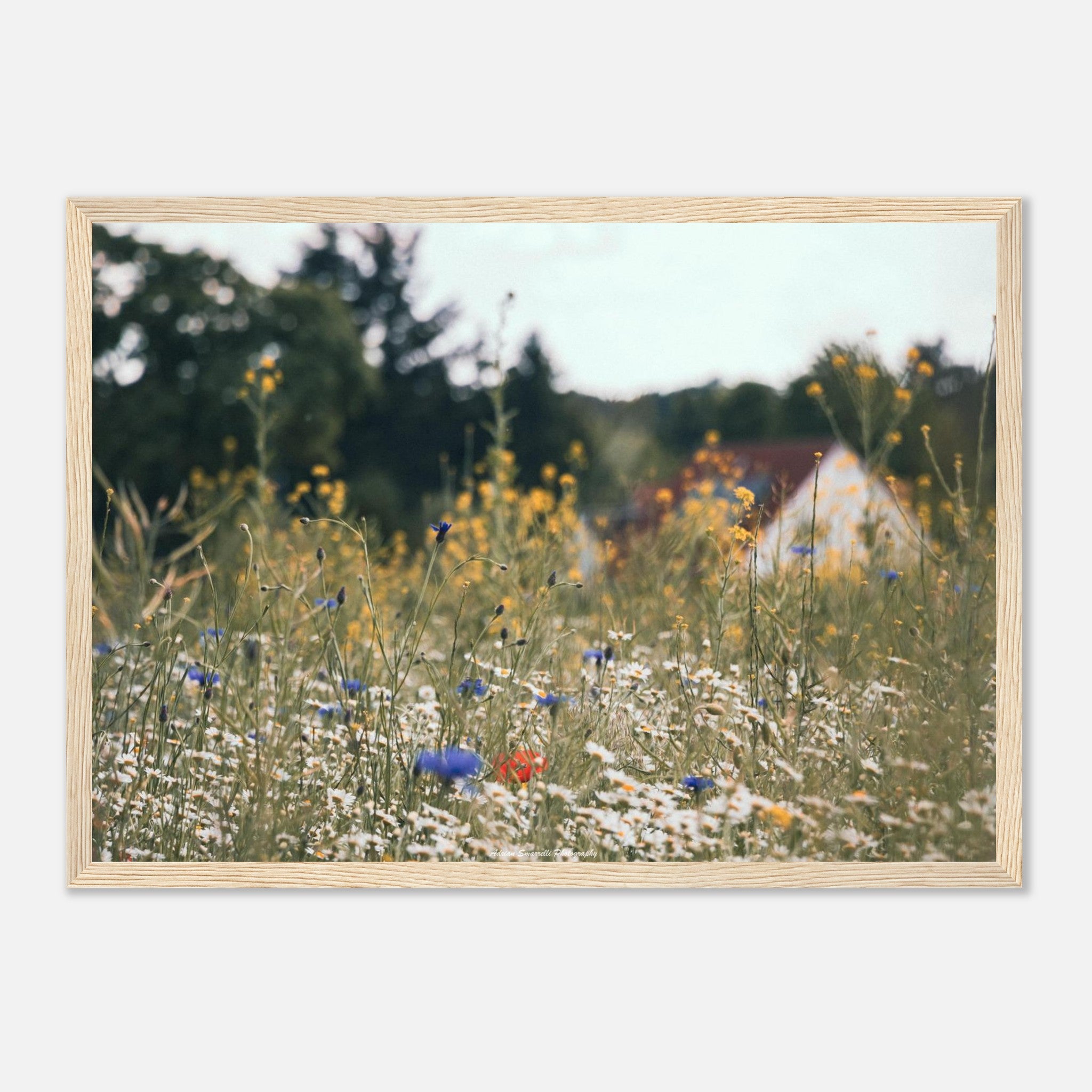 bd59a4fb-7e26-4603-8b24-3276358543d7