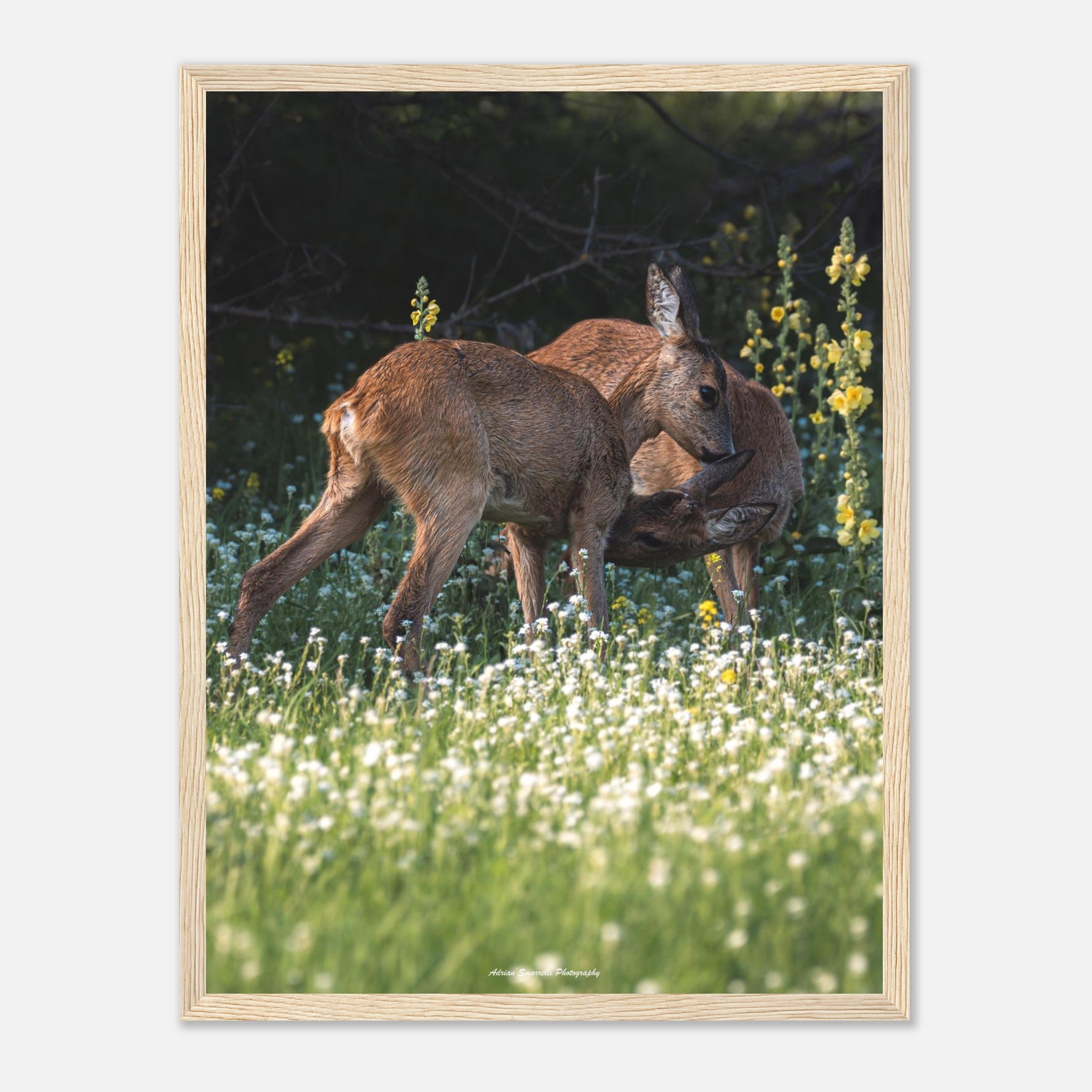 bdfe4058-f93c-4188-9768-f65cf071aee2