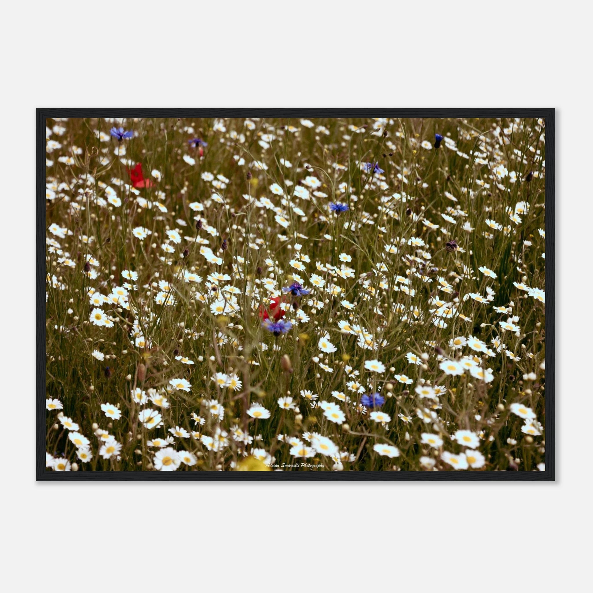 be61d397-1514-454f-a428-1e8e9d0643f7