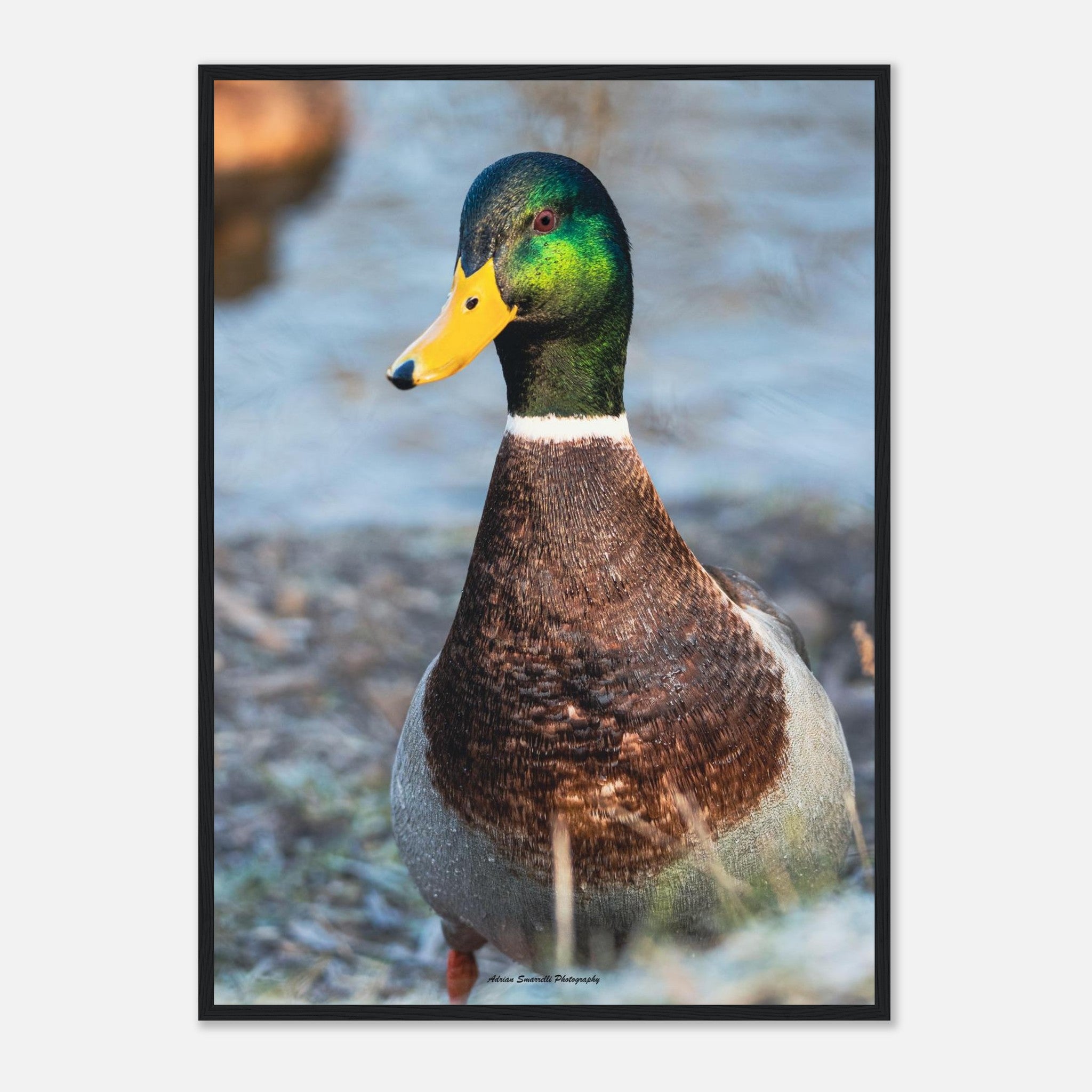 be8f57b9-c54d-40df-bf71-1dd7433915d9