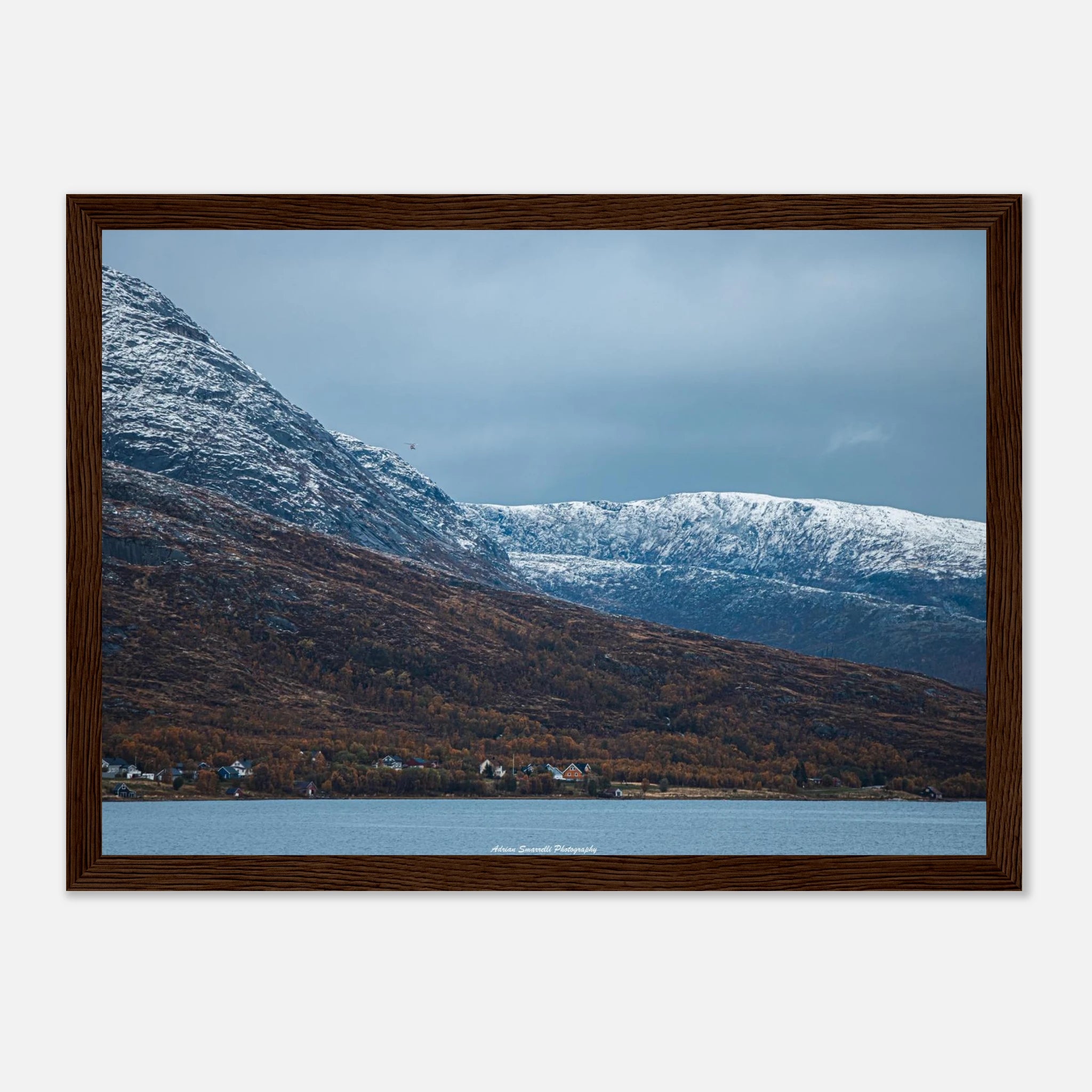 bf722c76-b93c-49a6-a4a0-9260a4eb1966