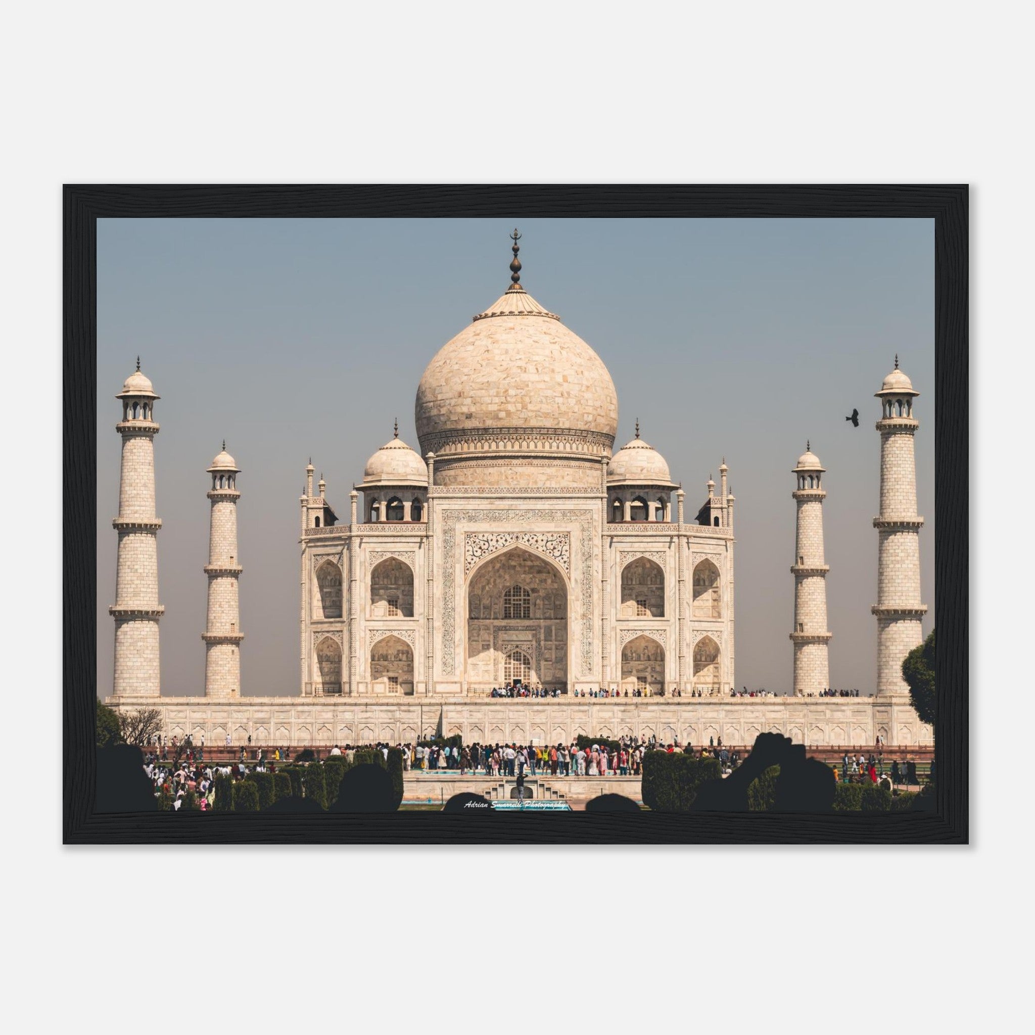 c18ee9a8-8e10-4347-b0f8-dddf39aa8def