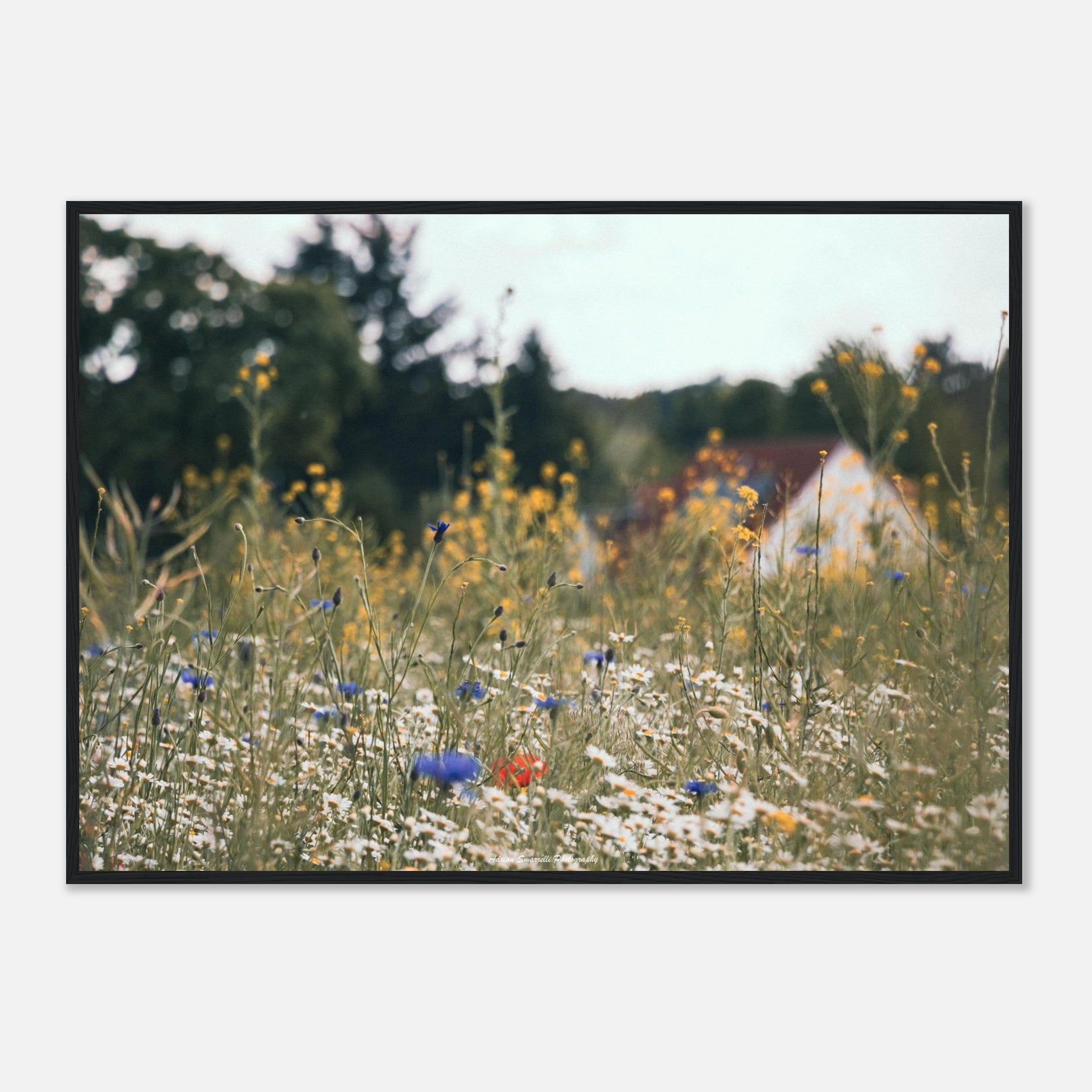 c2041890-c264-4387-a3b1-6335c92c56e3