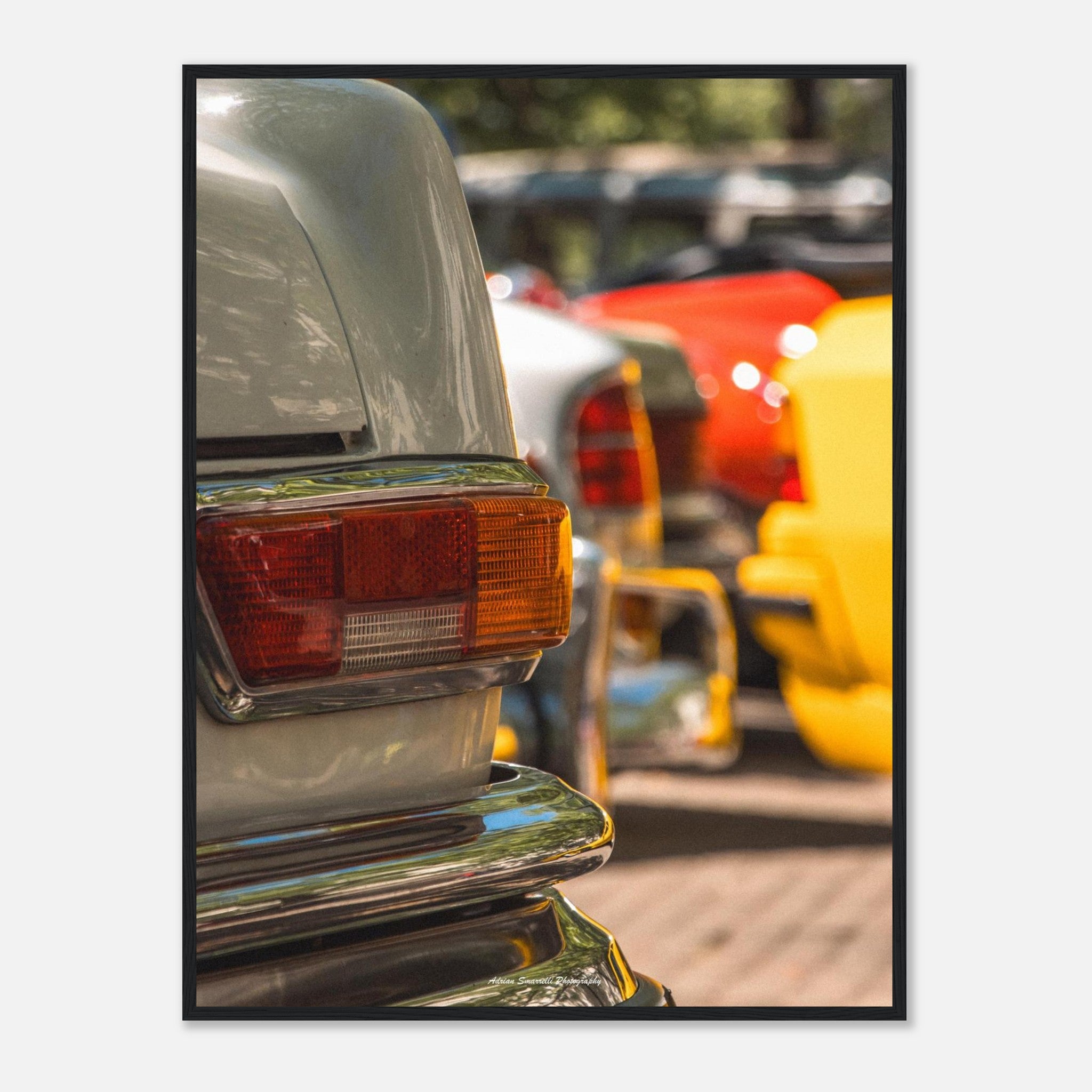 c230867c-1555-4321-b36e-146ff6ae3c59