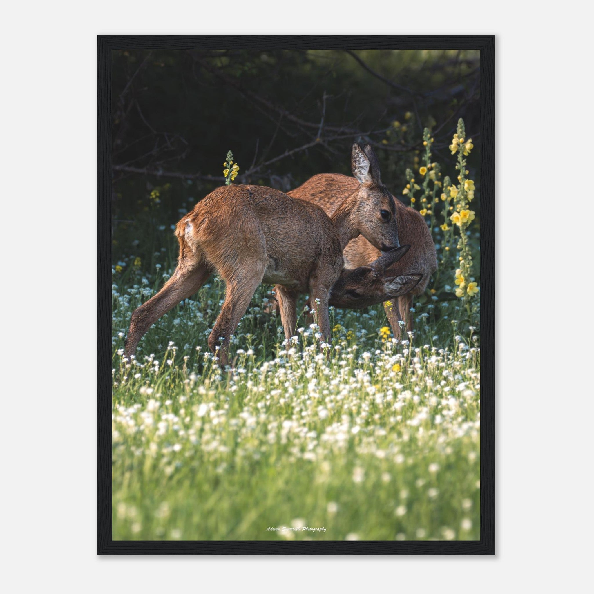 c2602cdf-d93c-4b6f-ae6c-d775478f0a91