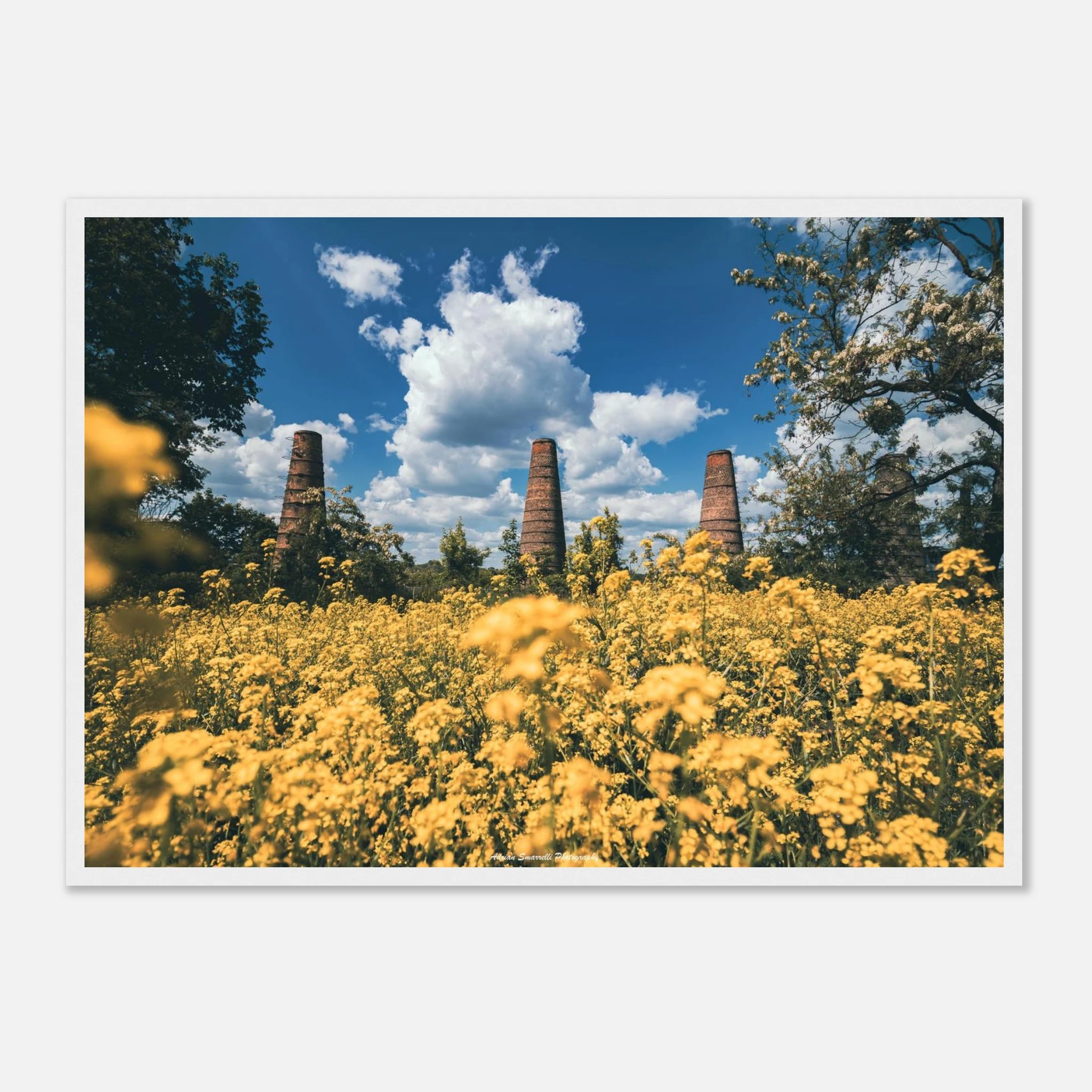 c358c680-e591-4bf8-82a0-324886e51a6f