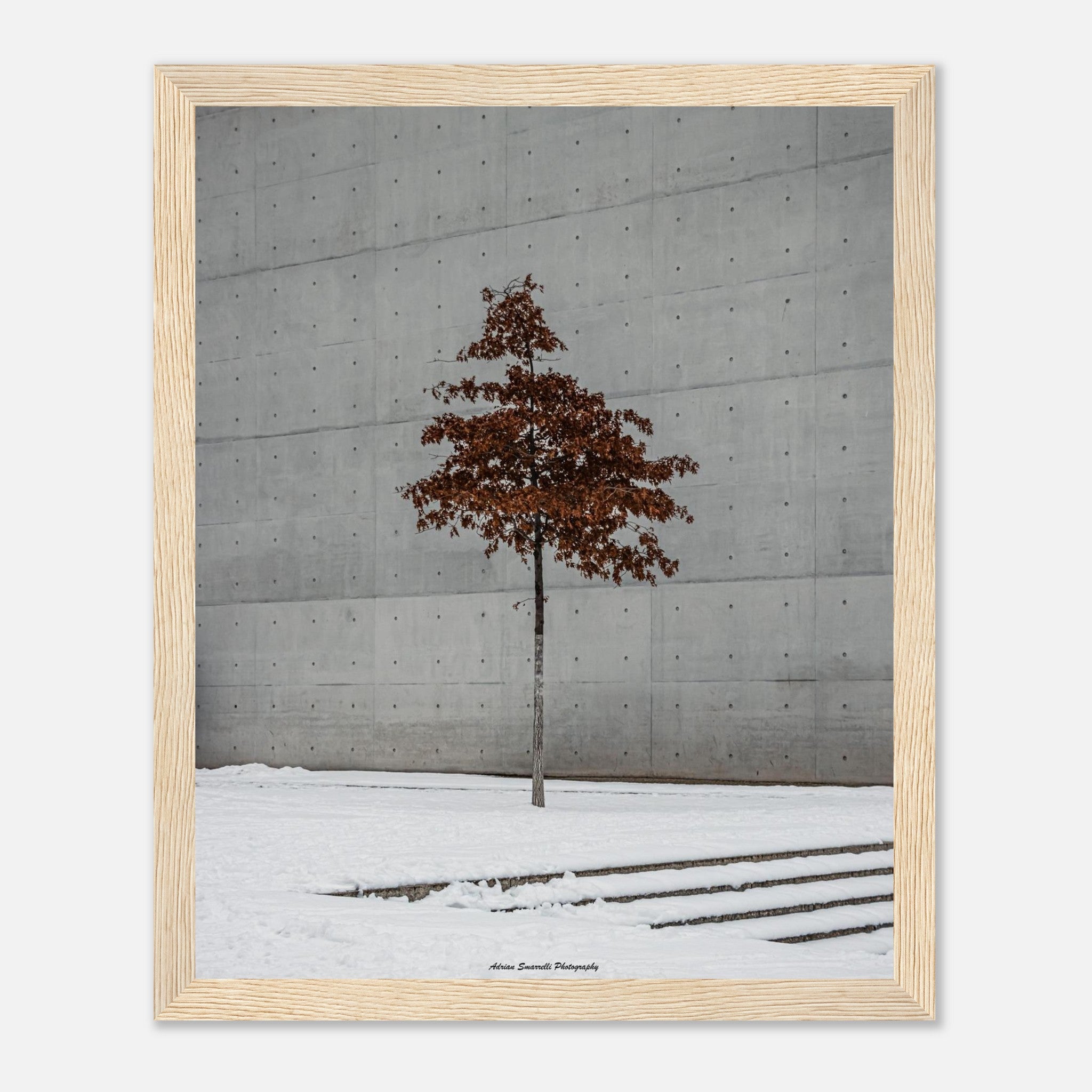 c3b6ce1b-44e4-4bce-9169-7c6a292903b7