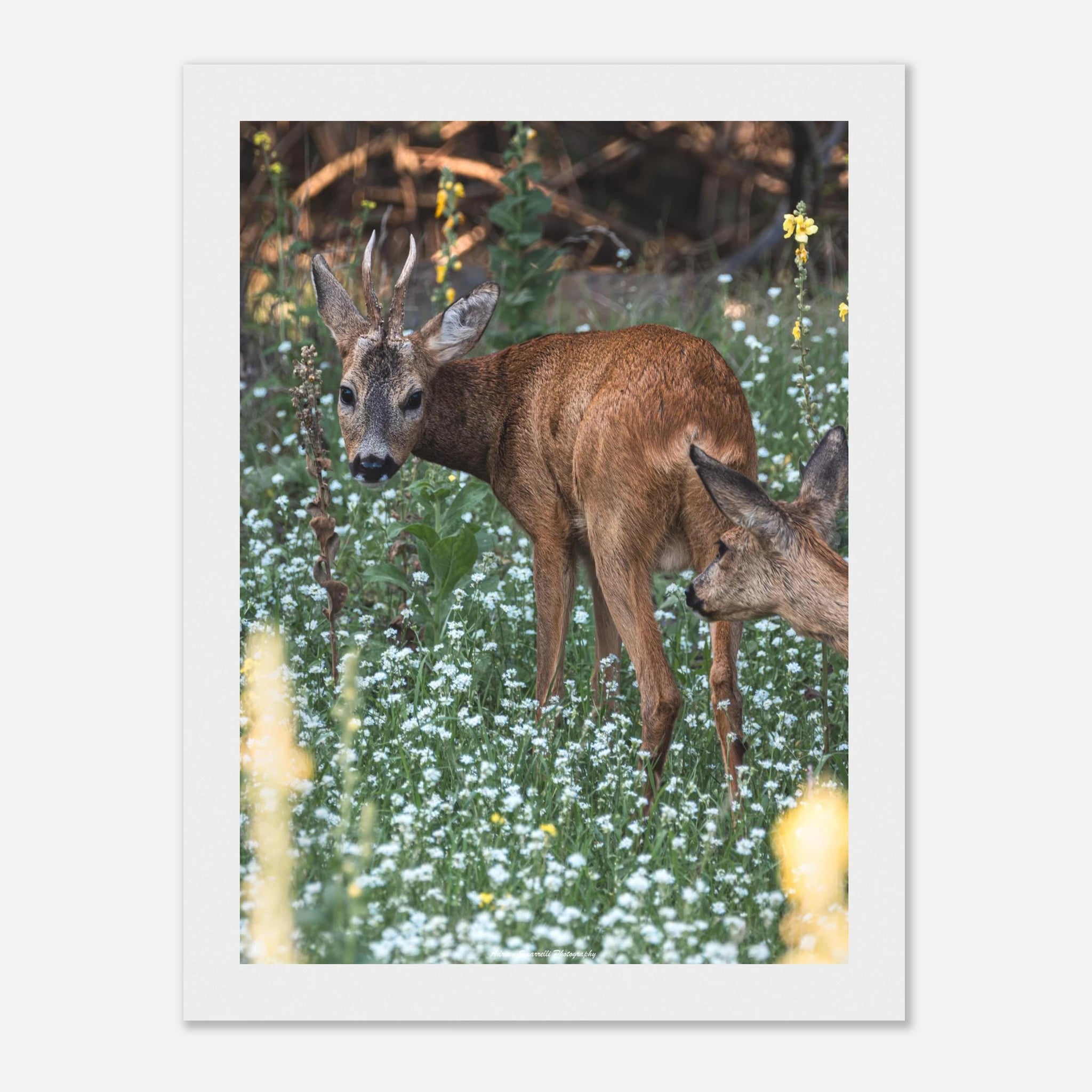 c48fbb76-8eb8-43ca-8b73-1cd6145bbe5f