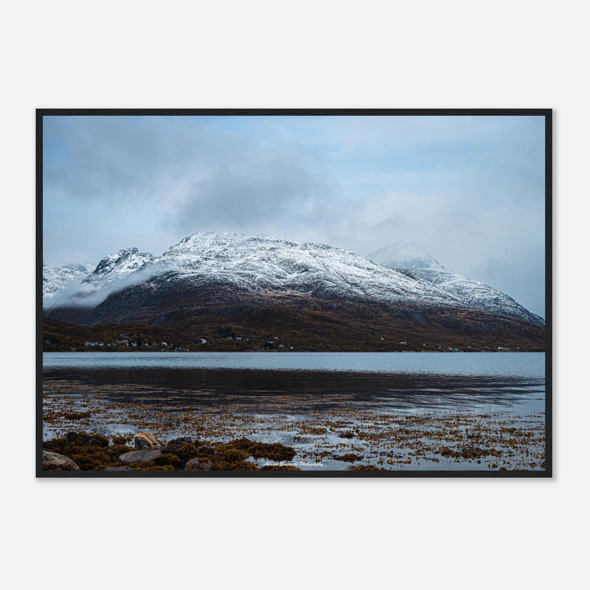 c4baa3ad-cf8c-4dda-bba0-8d477c6dea6f