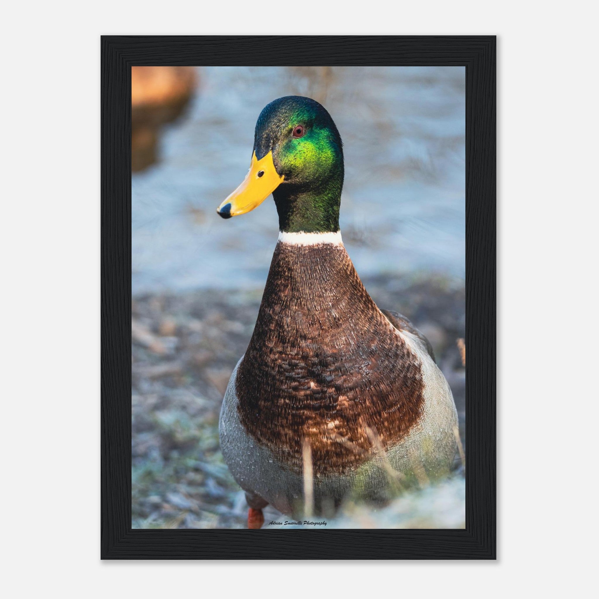 c4f5f263-90e3-4359-8702-523b91e65659