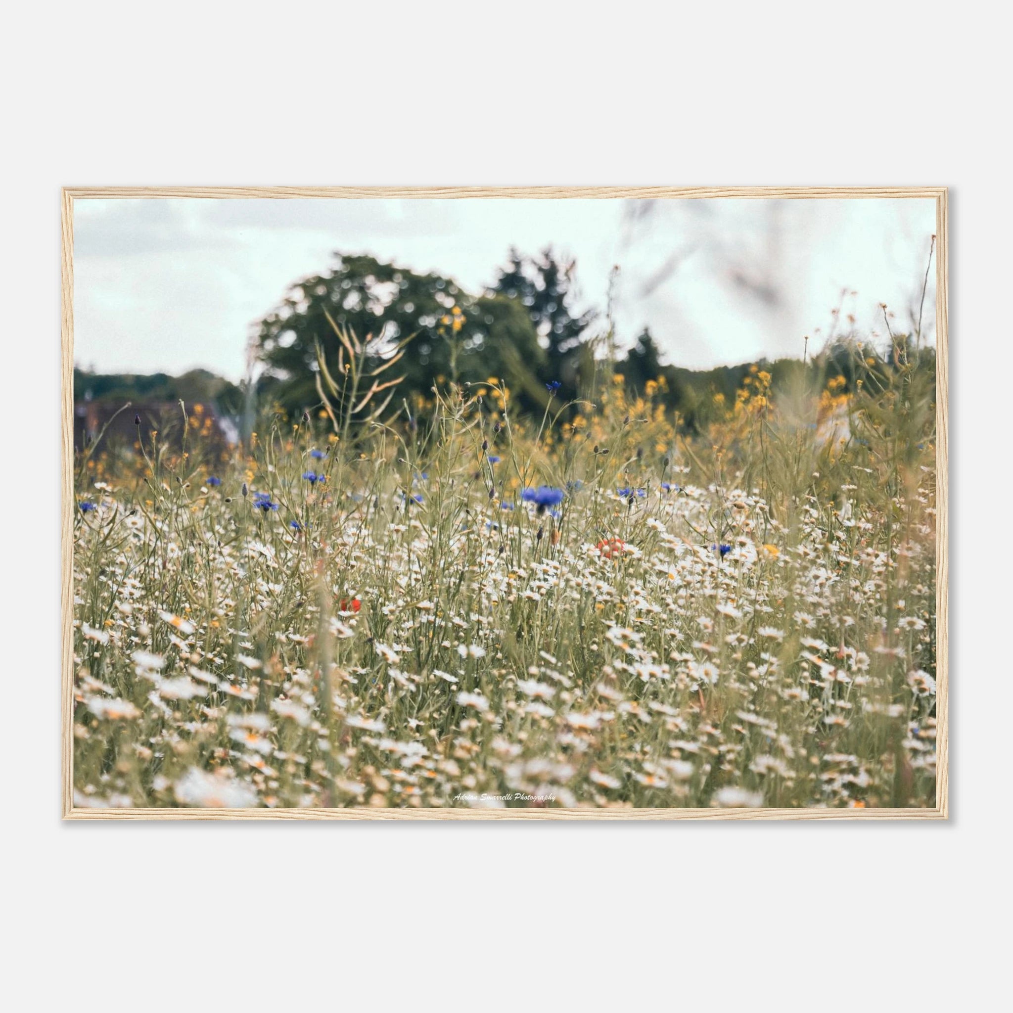 c585719e-01c9-440a-90a2-13ff5c121c6b