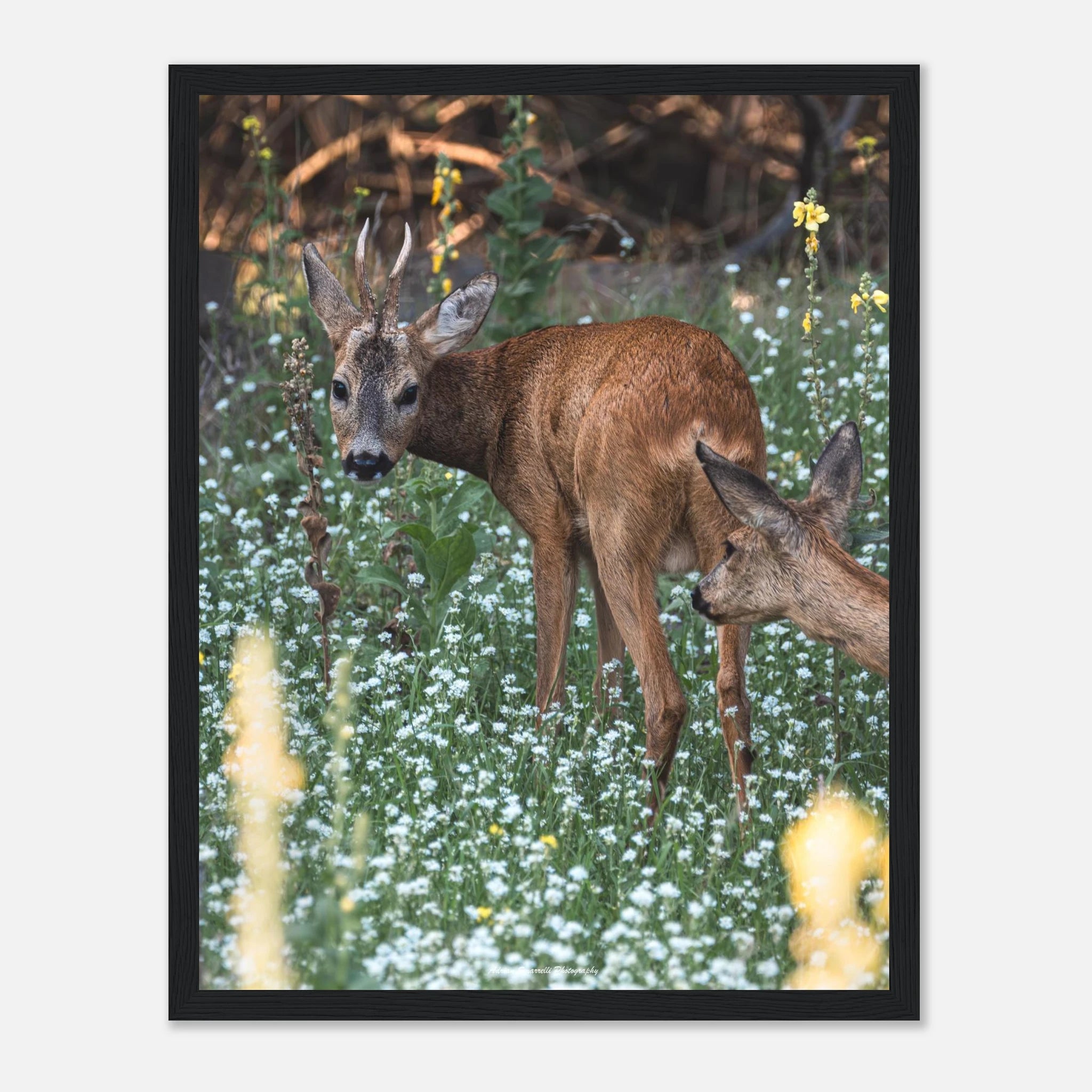 c604fa39-2fa7-421e-b9e8-09a18f43a6e5