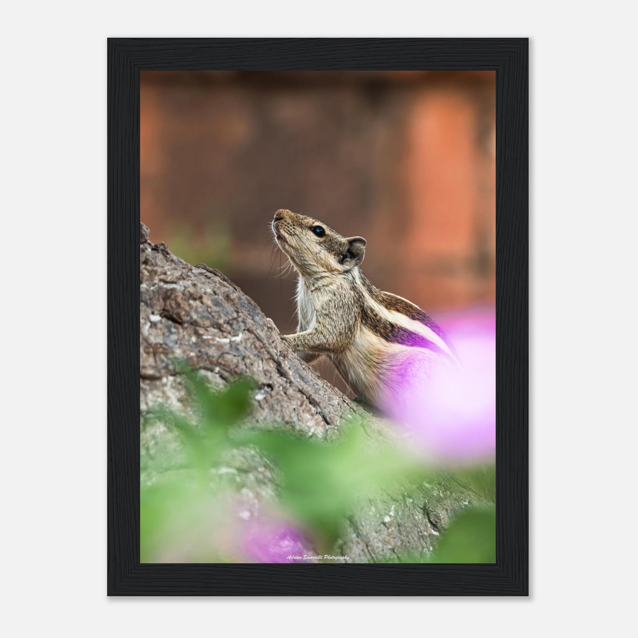 c63bd3d2-139d-42e5-a9dd-d4f002ac4649