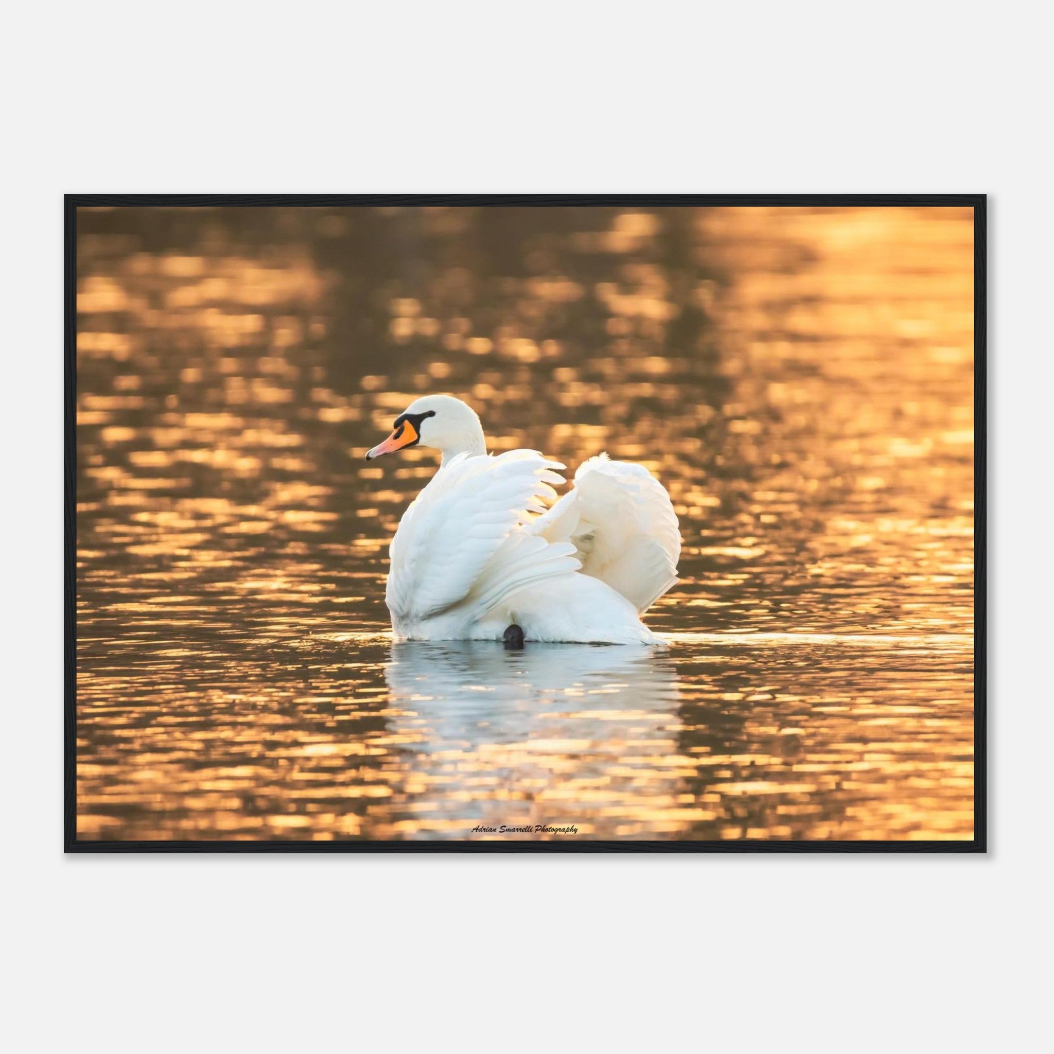 c66959c8-ac2f-4ca1-a42e-e8fcd52dc0bb