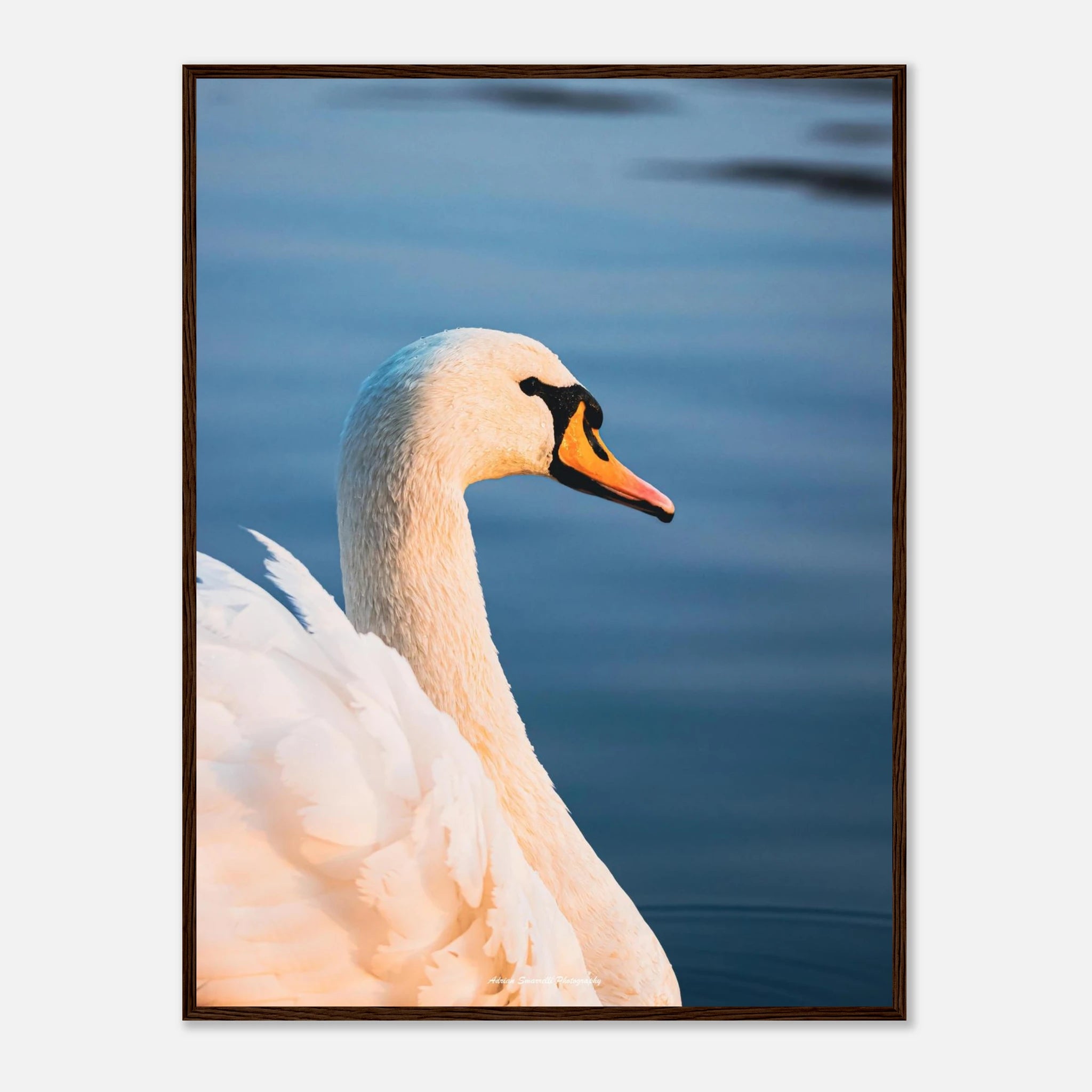 c69c1cad-dbb0-4f1f-a471-55358430c514