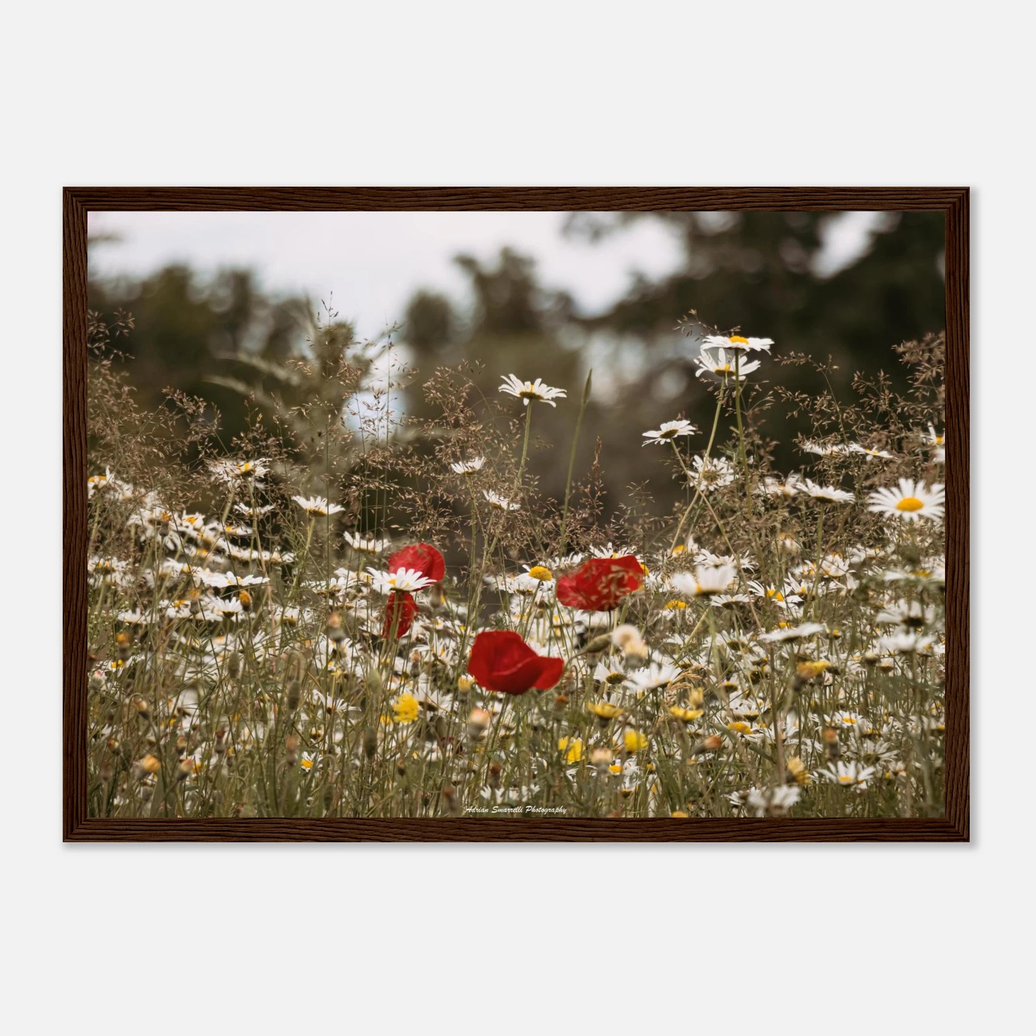 c7368cc7-c206-421c-8c1b-66711742ec01