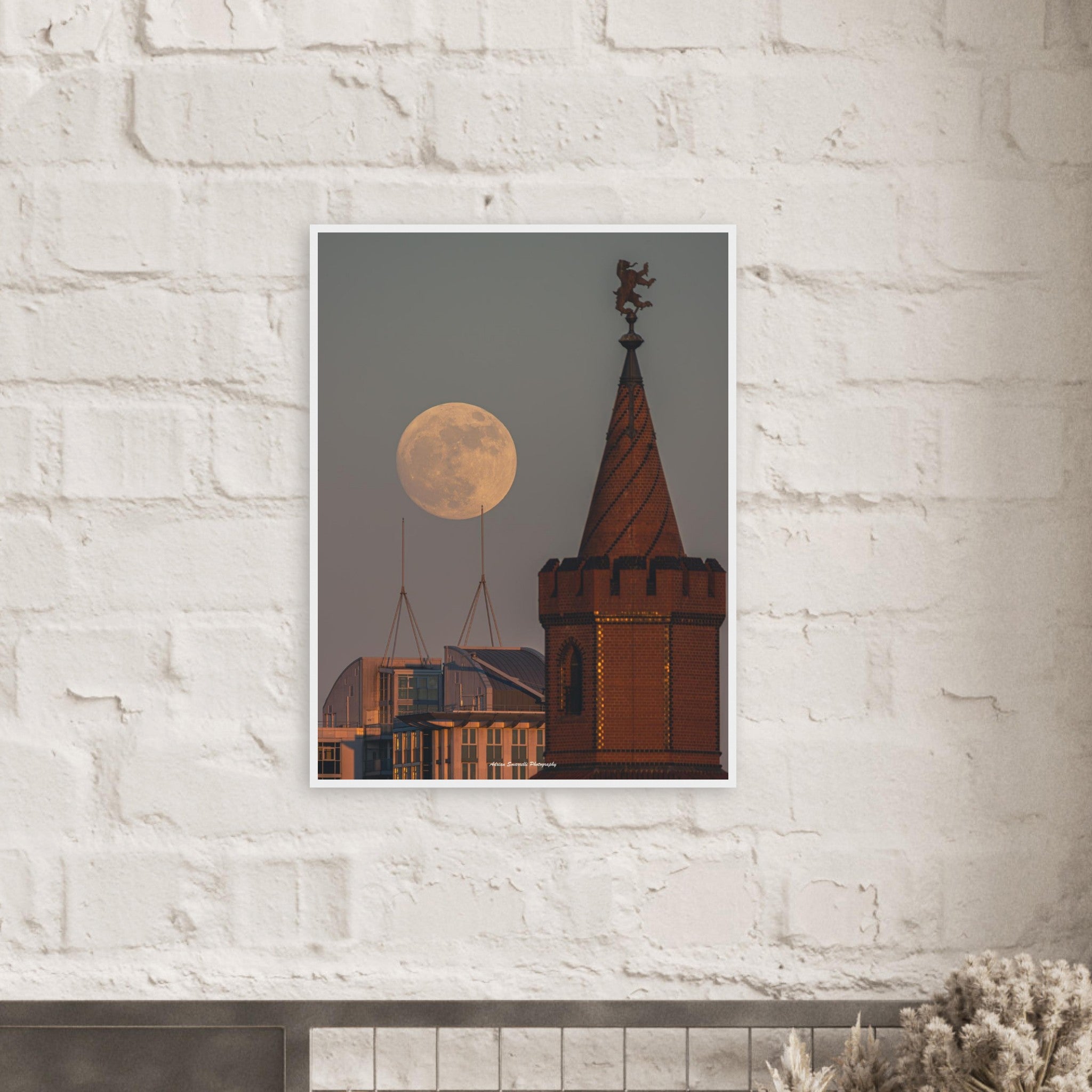 c888d49b-465d-4bb7-a8bd-420368ba4be9