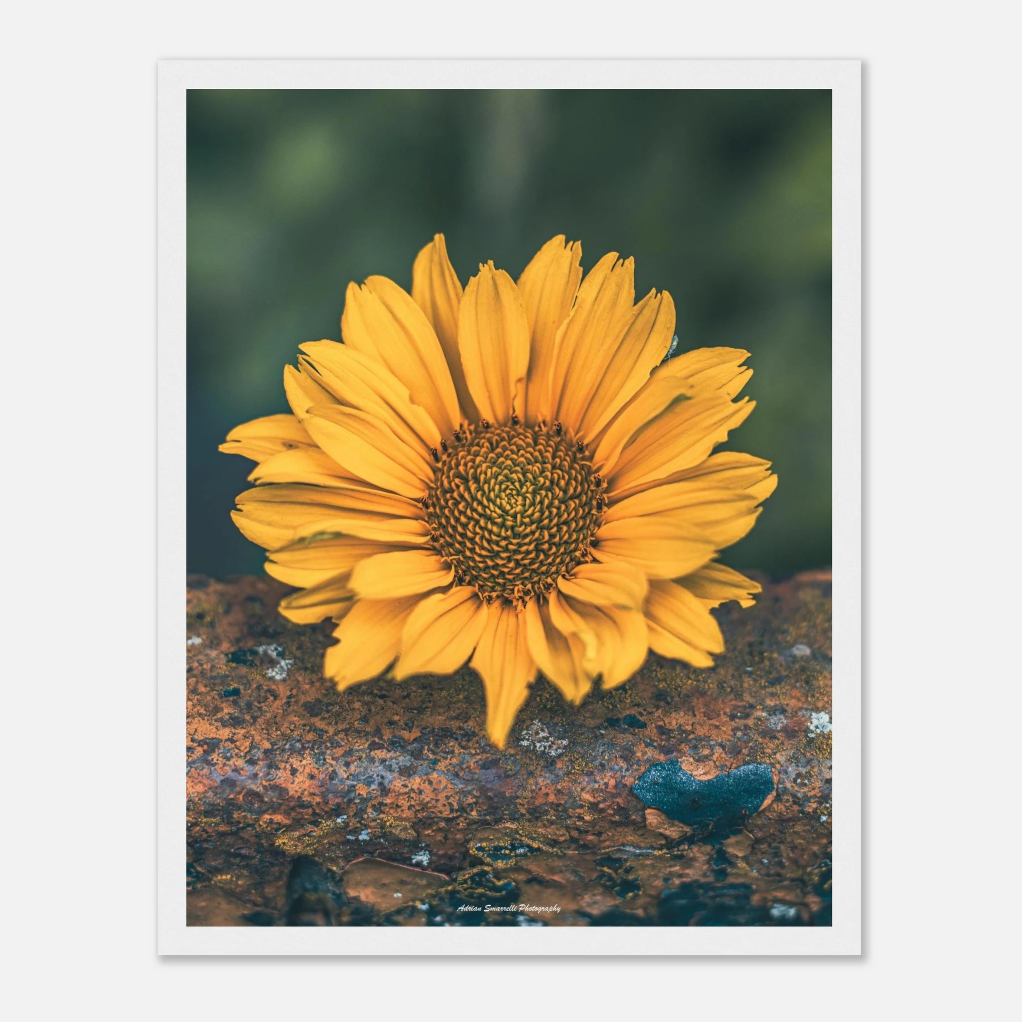 ca09c4f6-d879-416c-aa4f-a093800b7cc8