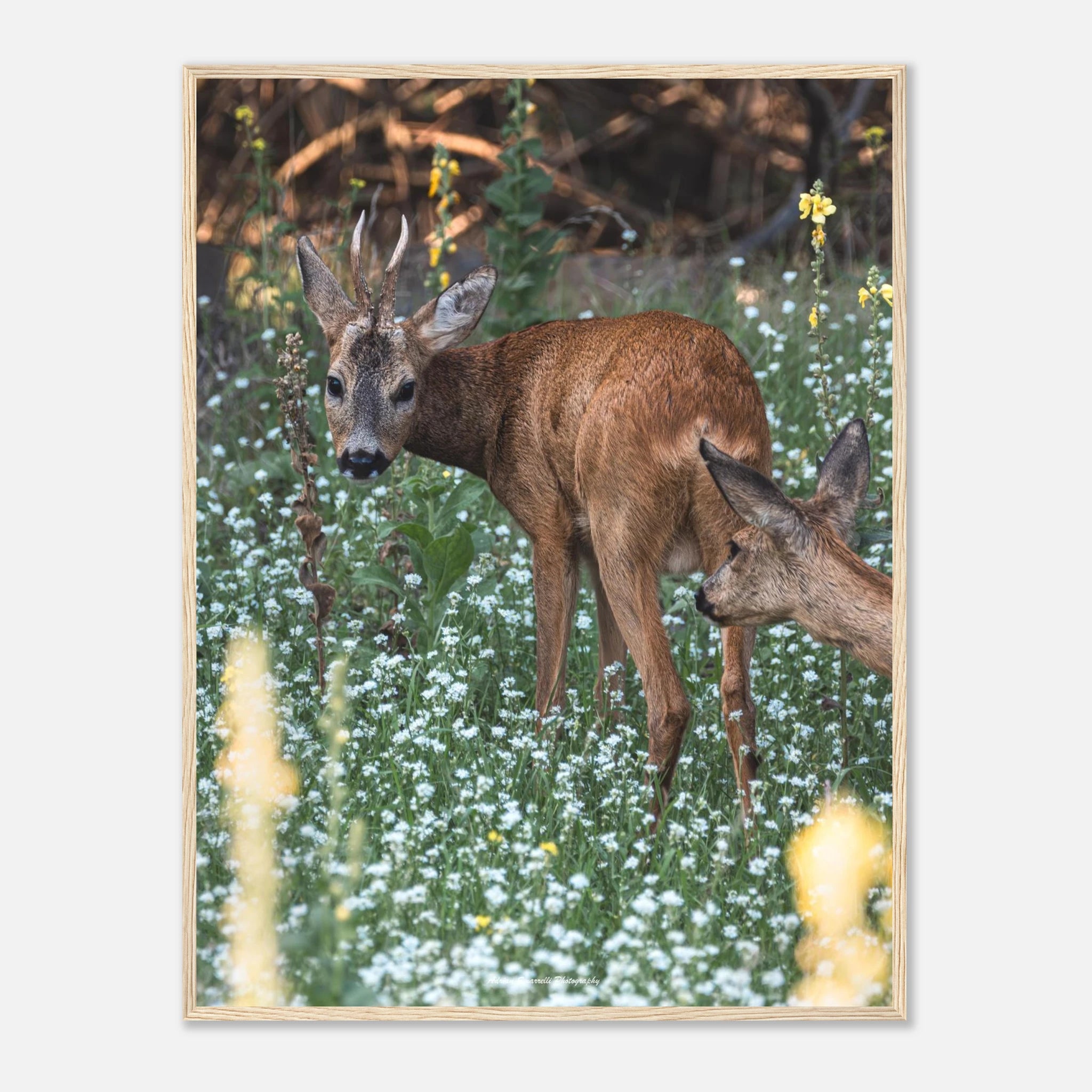 cb067c88-2fa7-49a6-8c95-52246a472583