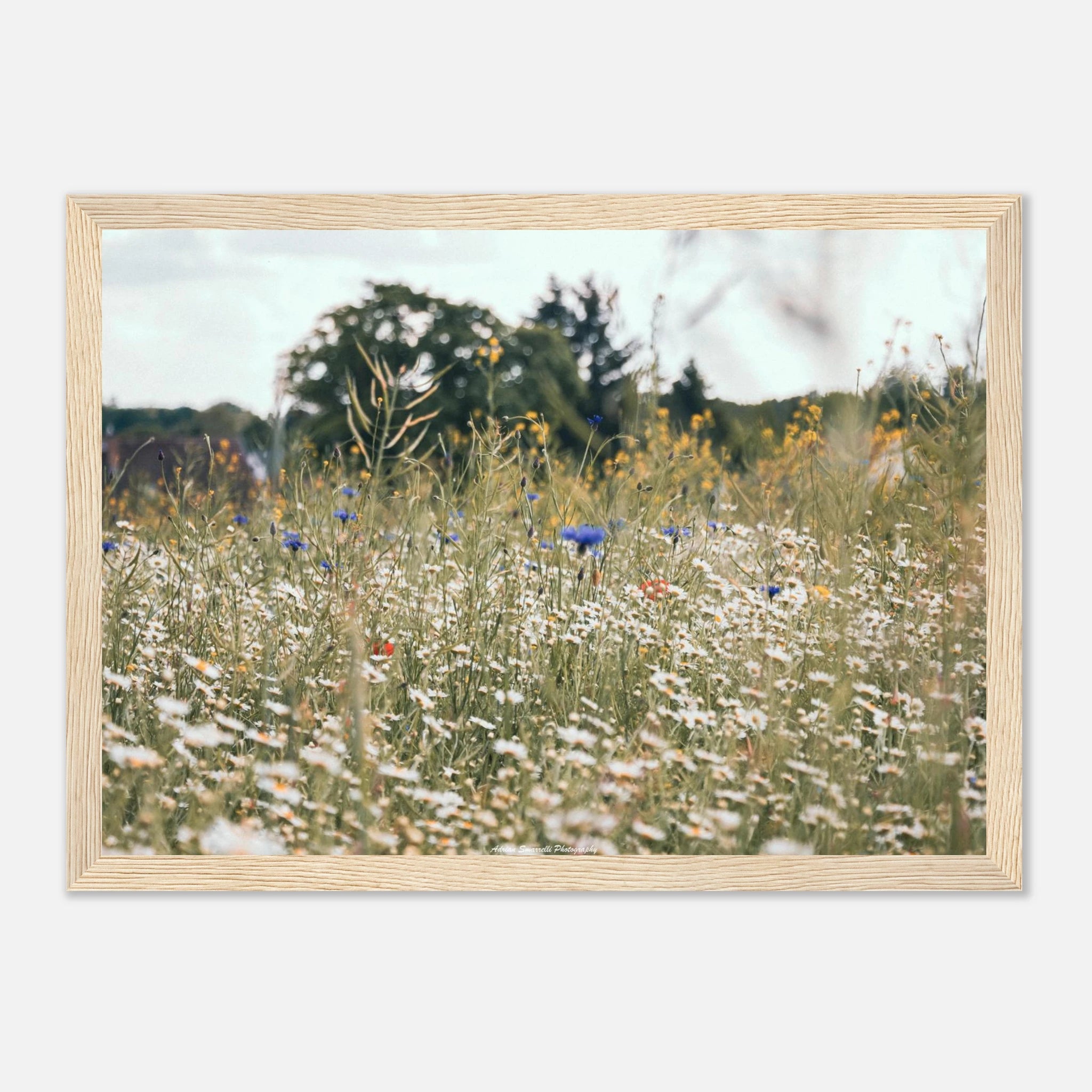 cb32db57-326a-4f5d-a641-2deb8e91e0f2