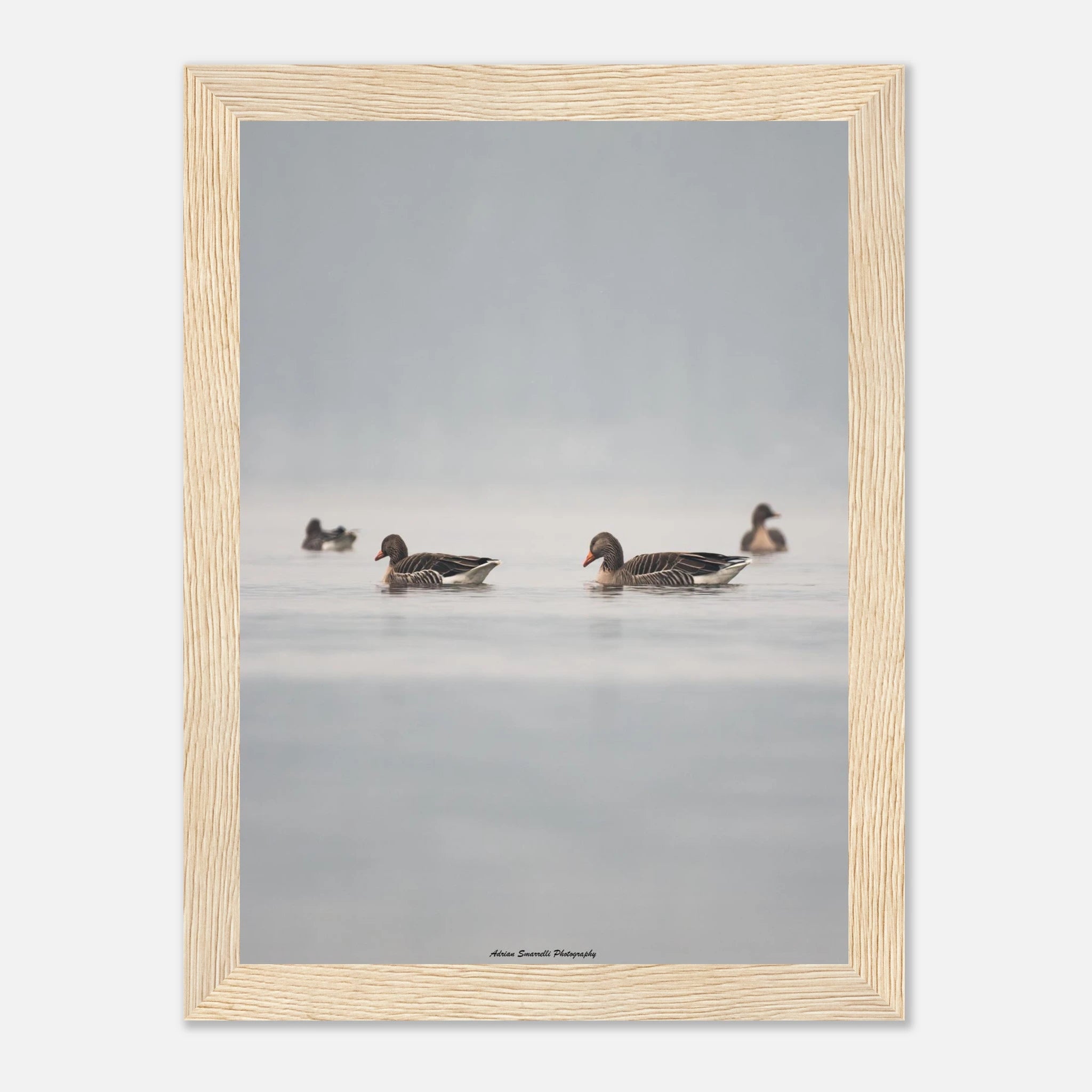 cd1b7d0b-1dbe-4e34-af74-6dbe1885018d