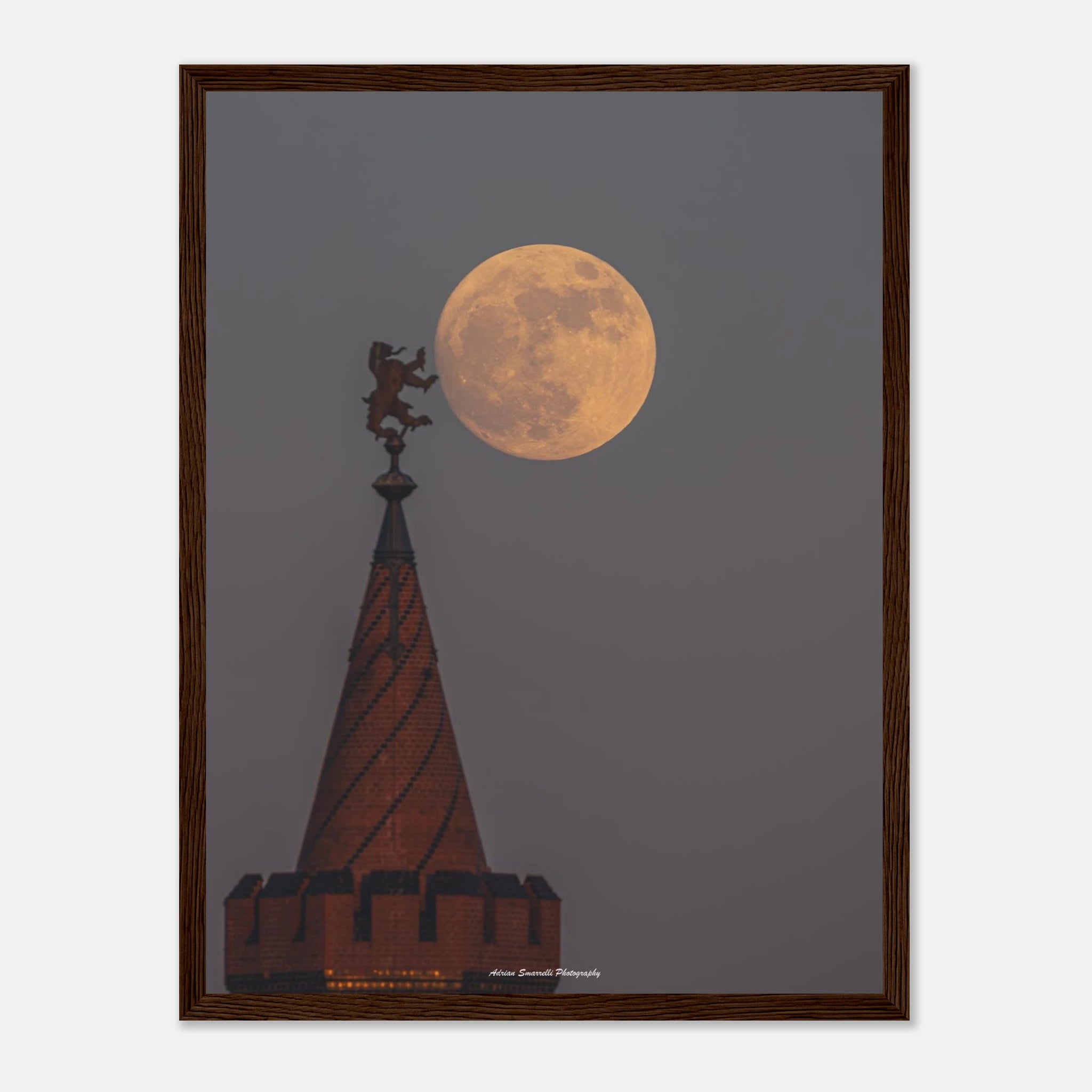 ce0ea0c1-9d44-4696-9ec4-fd60d776b308