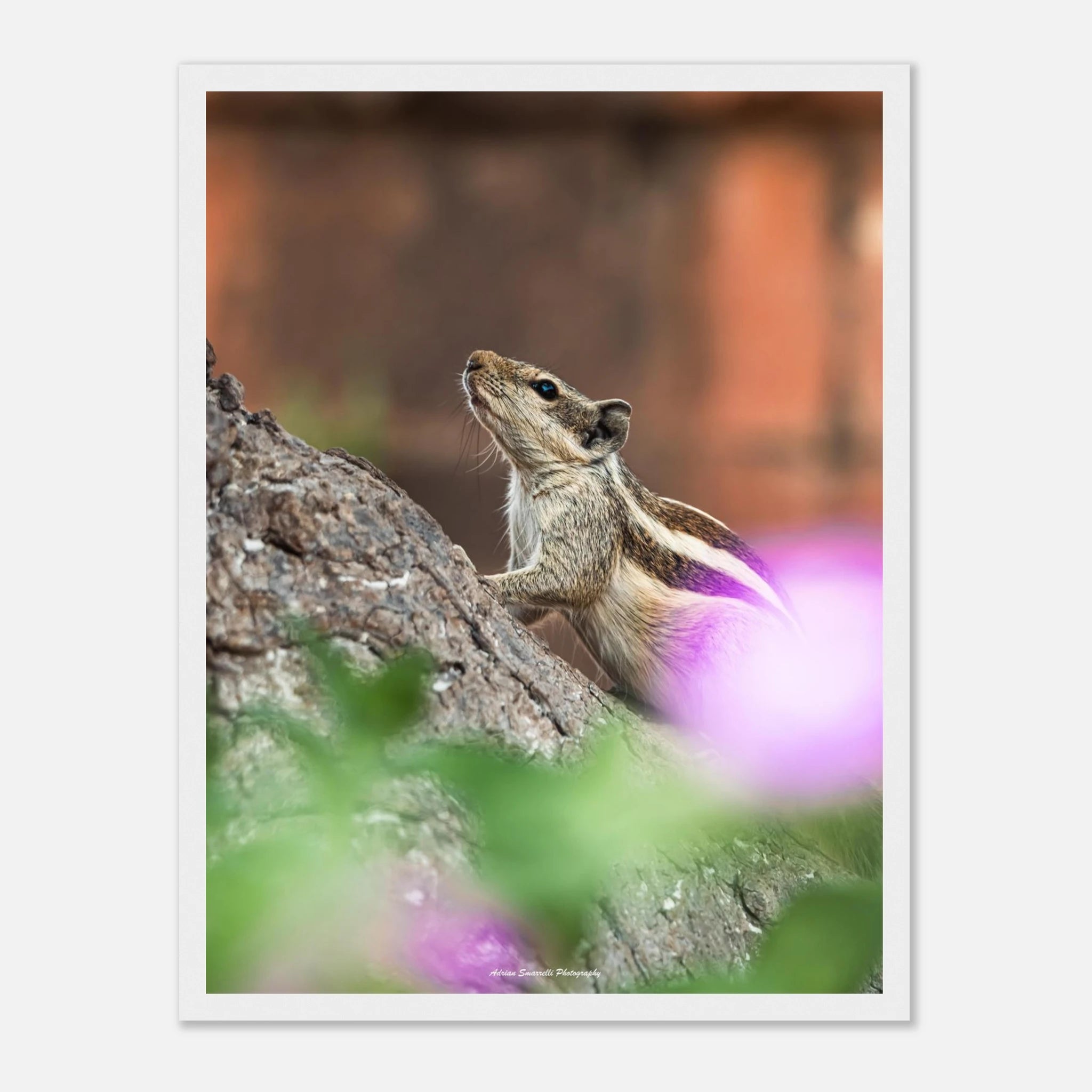 ce940579-1f1a-415b-b5c8-c5315c67f880