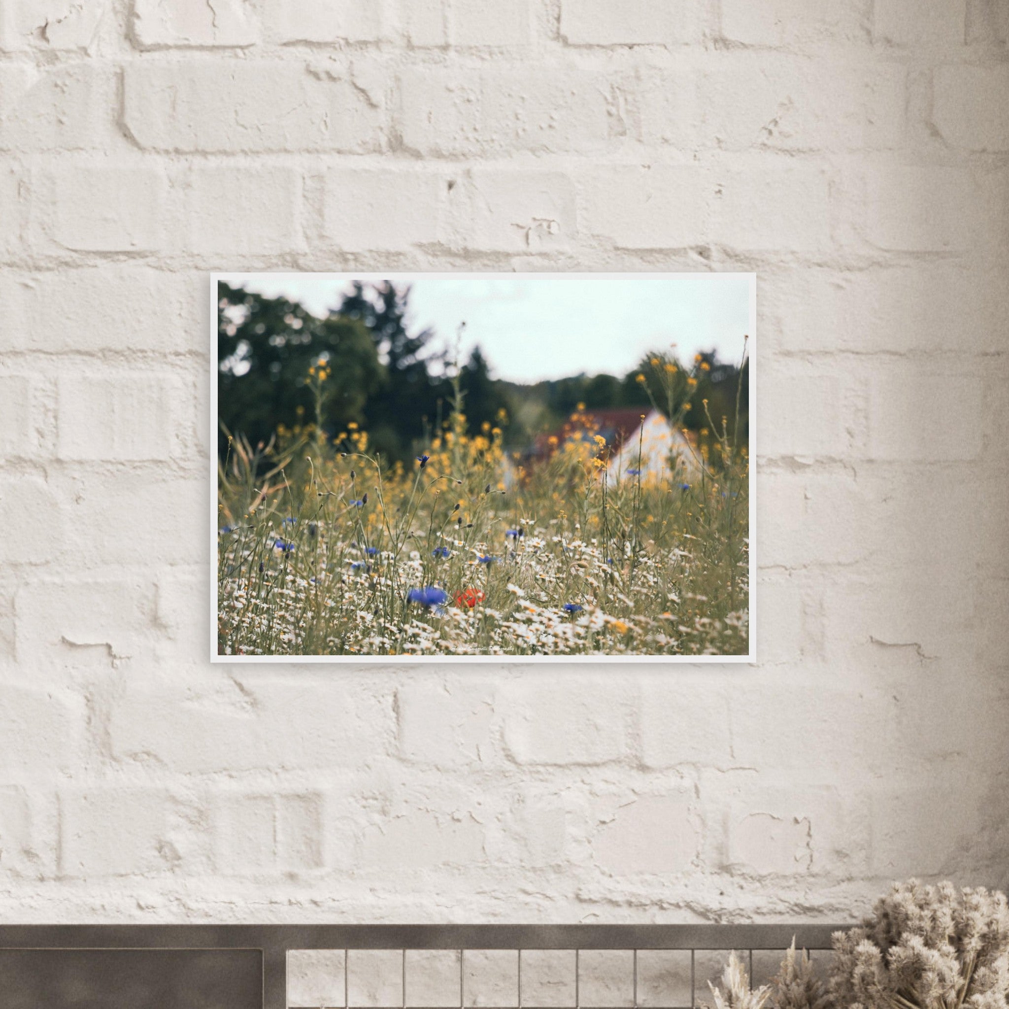 d06c26be-9ee0-4d4e-907e-8207ac407f3d