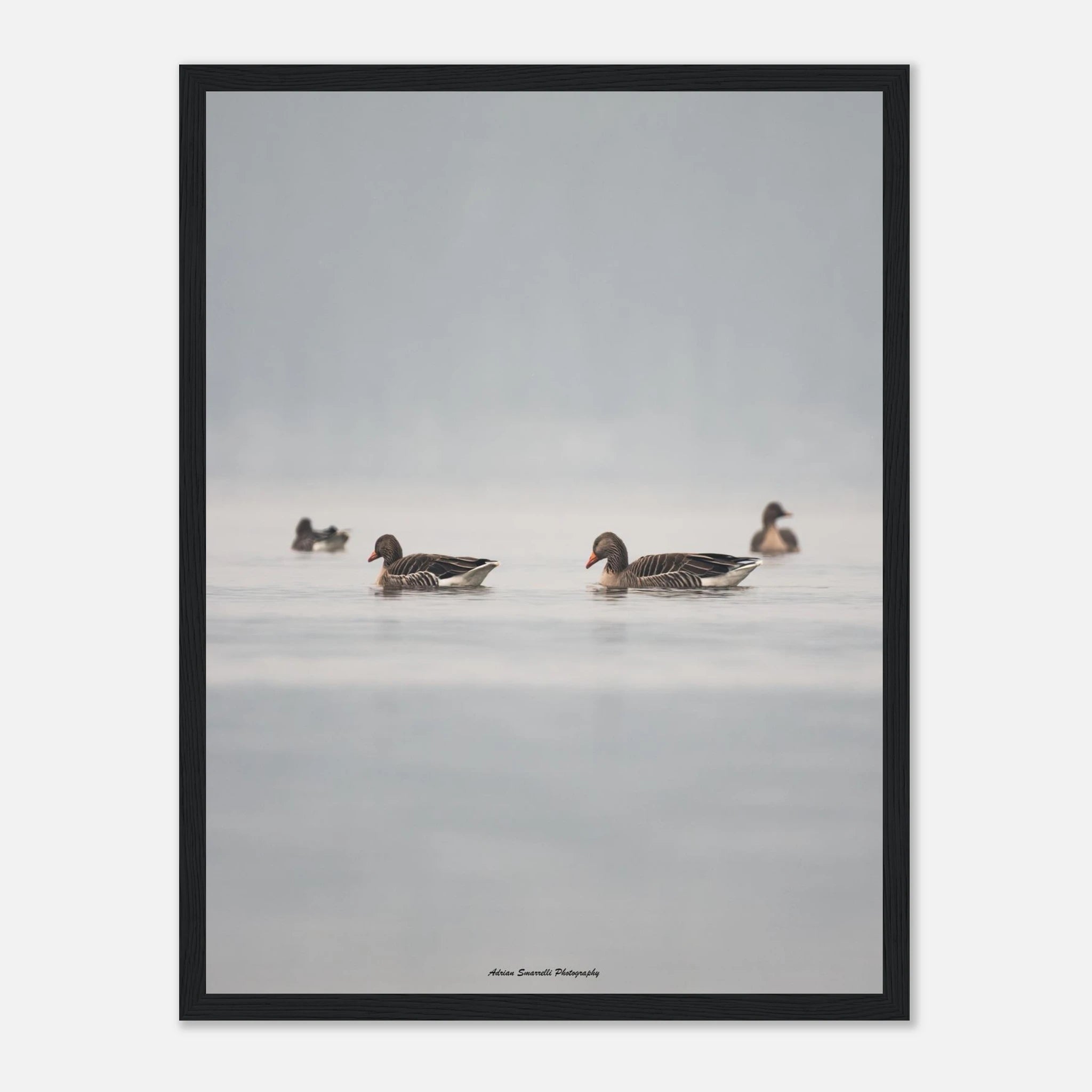 d07cdee5-fc76-488a-91a9-e590ad8d1e2e