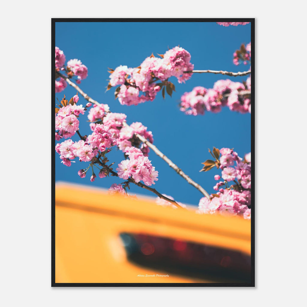 d0aecd73-f48f-4ff1-a876-042e5f864aa9