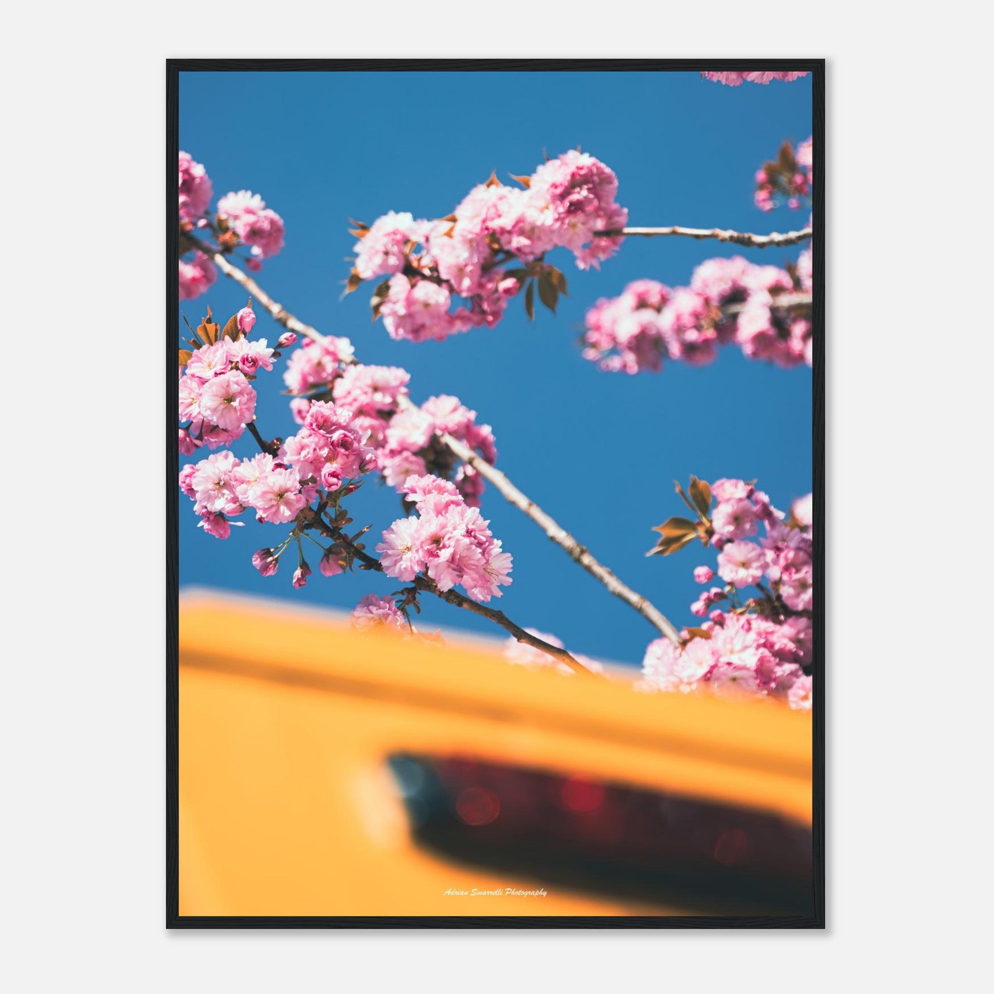 d0aecd73-f48f-4ff1-a876-042e5f864aa9