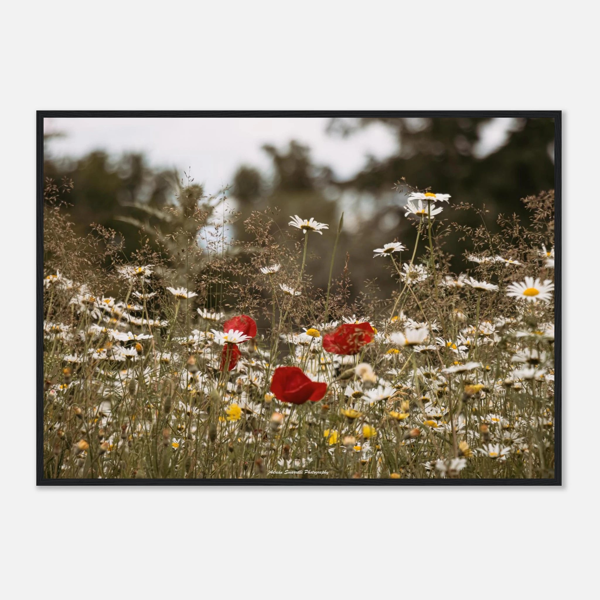 d1650eb4-9a5e-4064-9a4e-23e12c70ed93