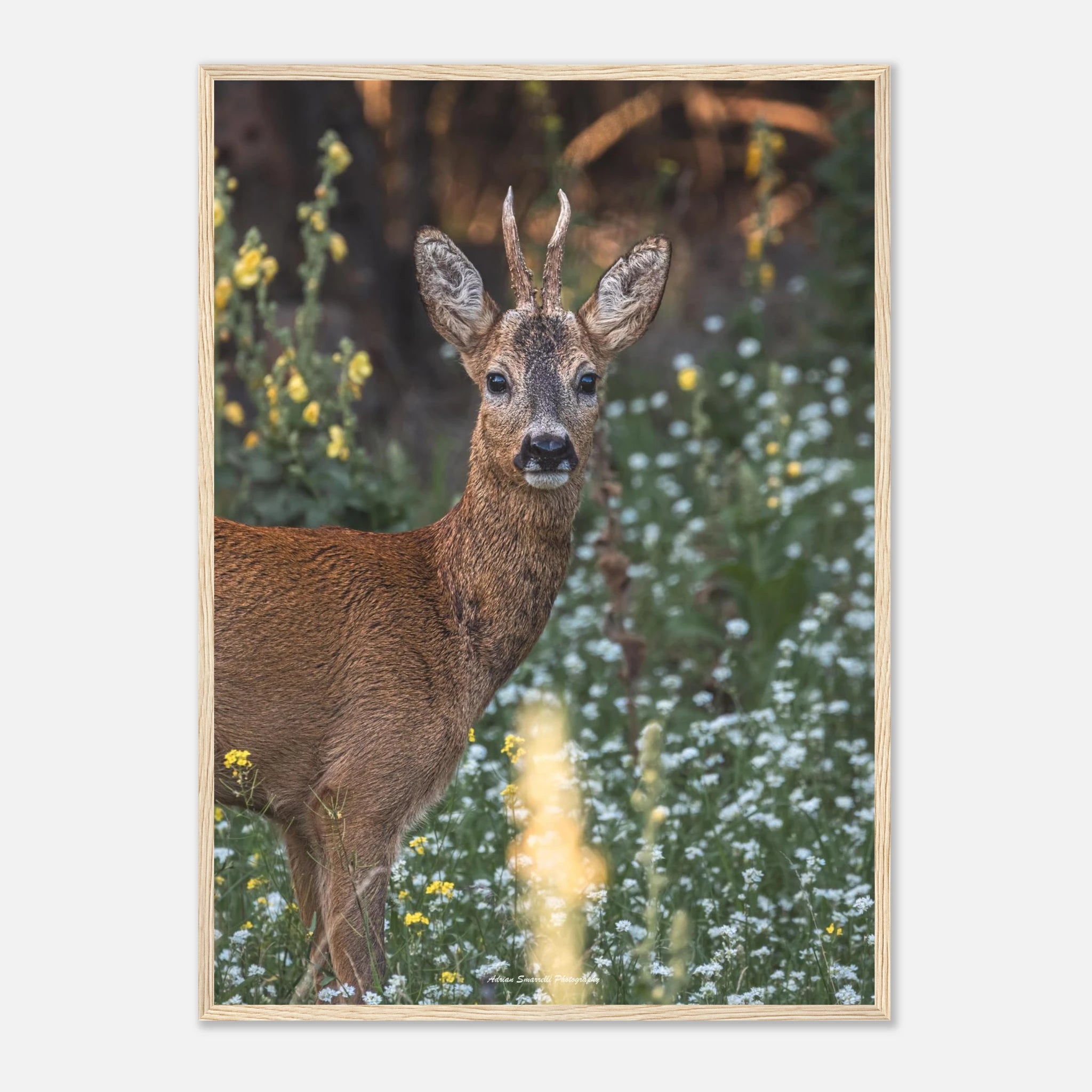 d1e74956-1948-447d-8ee3-96ce7c27b0f3