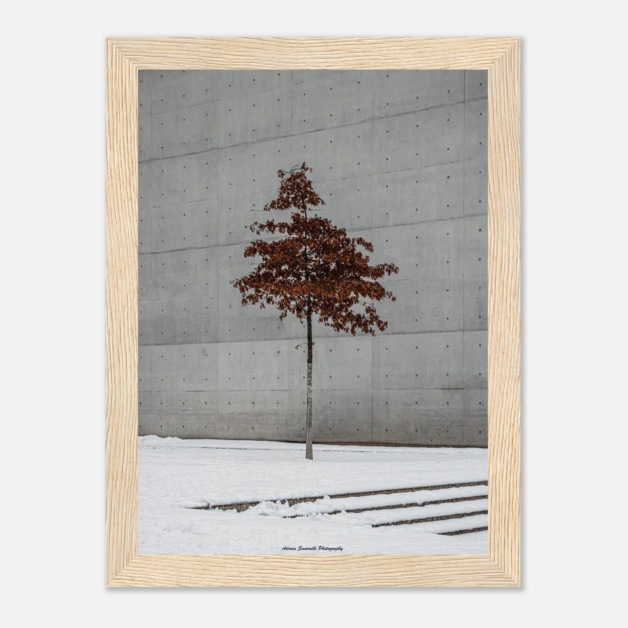 d1e7e181-d4c7-4758-a61b-1c45bcb68312