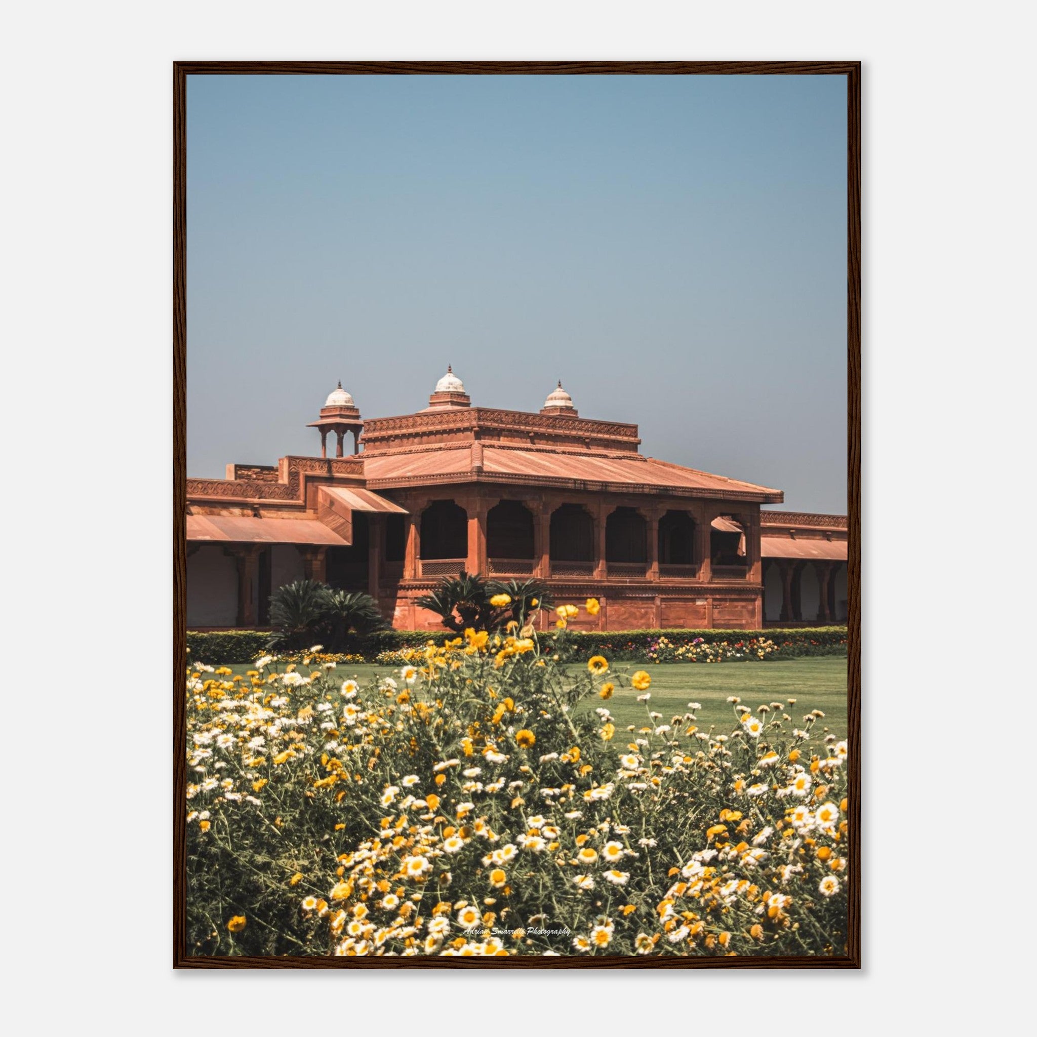 d21508f1-539f-4d03-9a73-2307ab011569