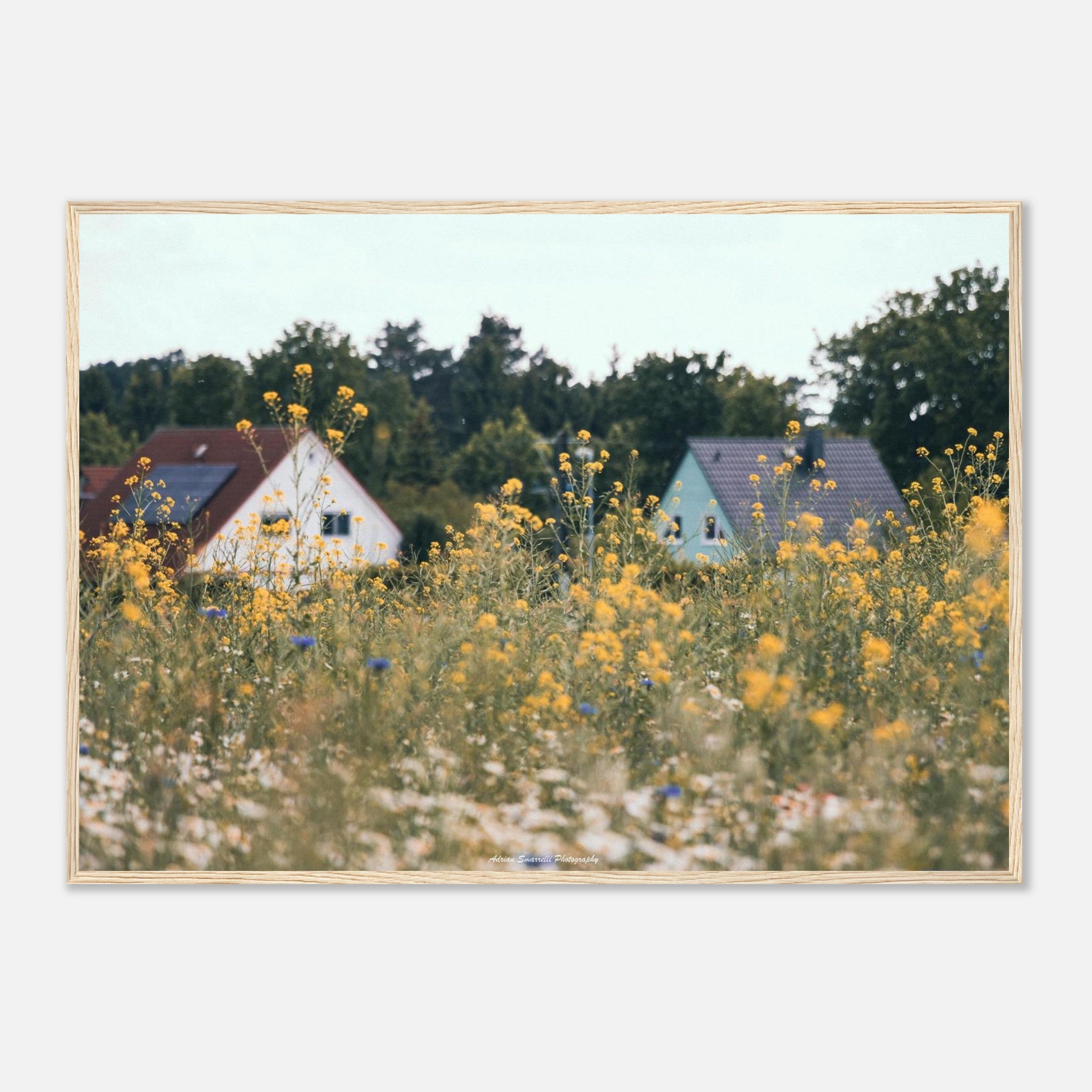 d4724ac1-9873-48ba-b6b8-4c2fb75148f7