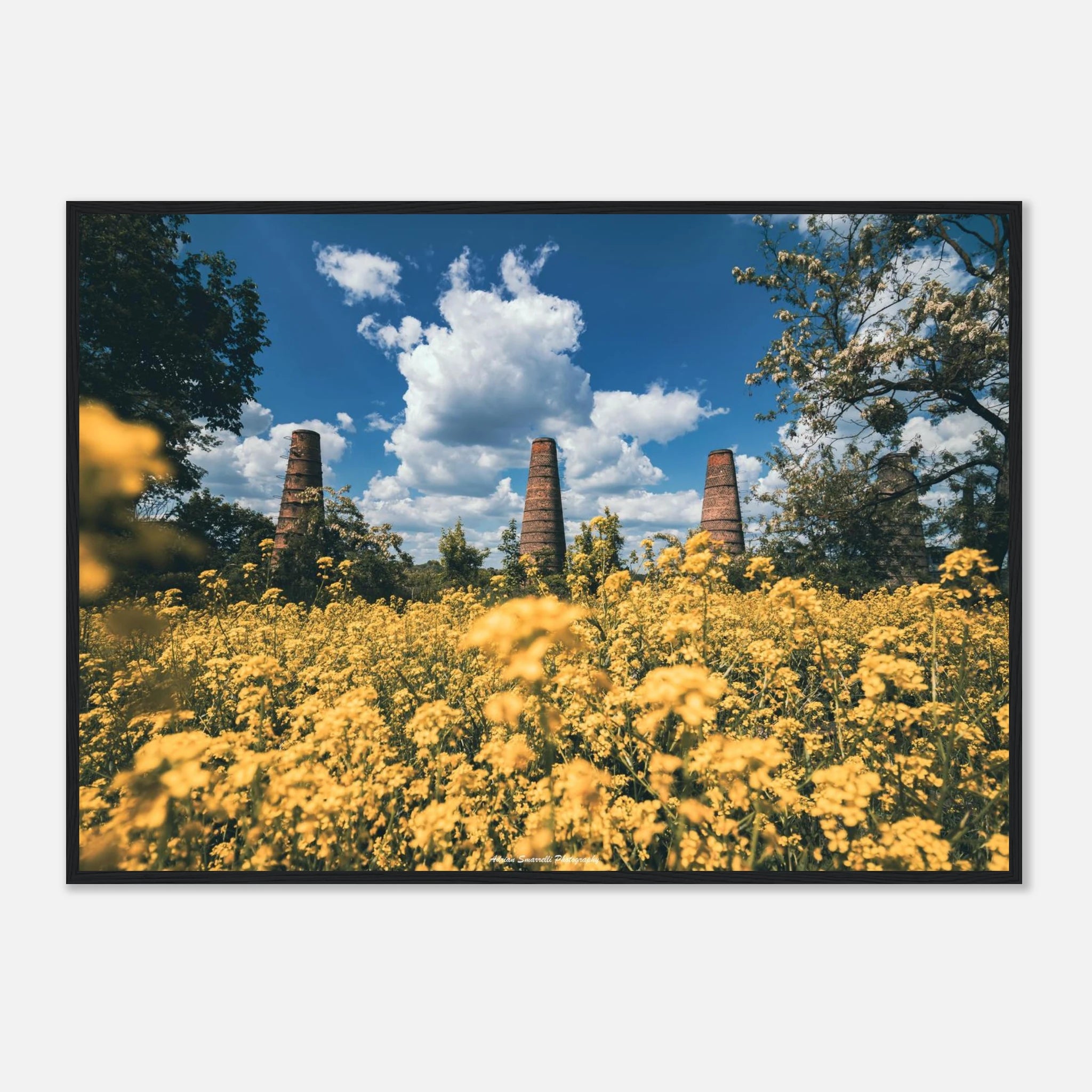 d51fa5a9-782c-4c5f-985b-2a97d0951be9