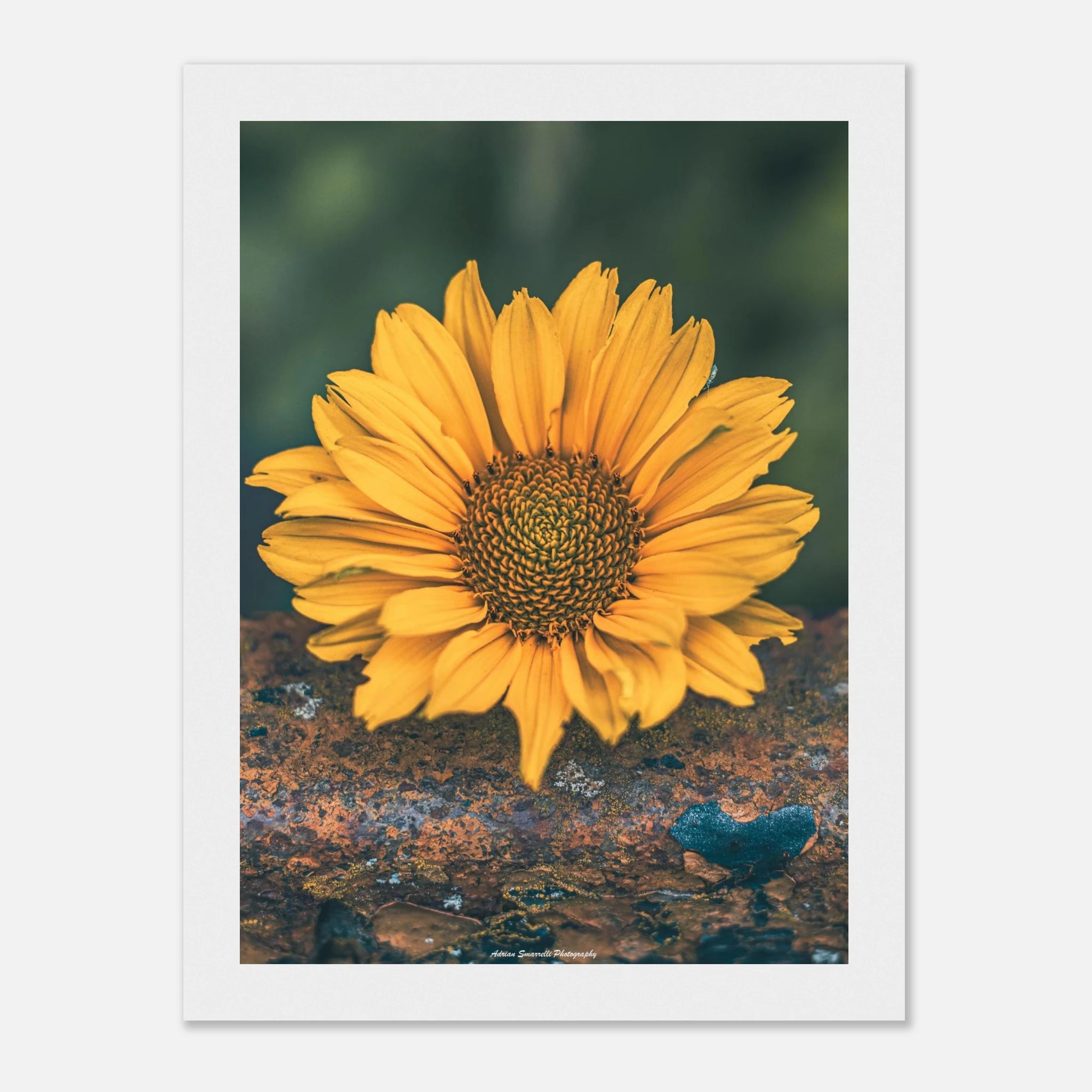 d53d3bfe-7c98-4f04-a69f-abaa7b548c4d